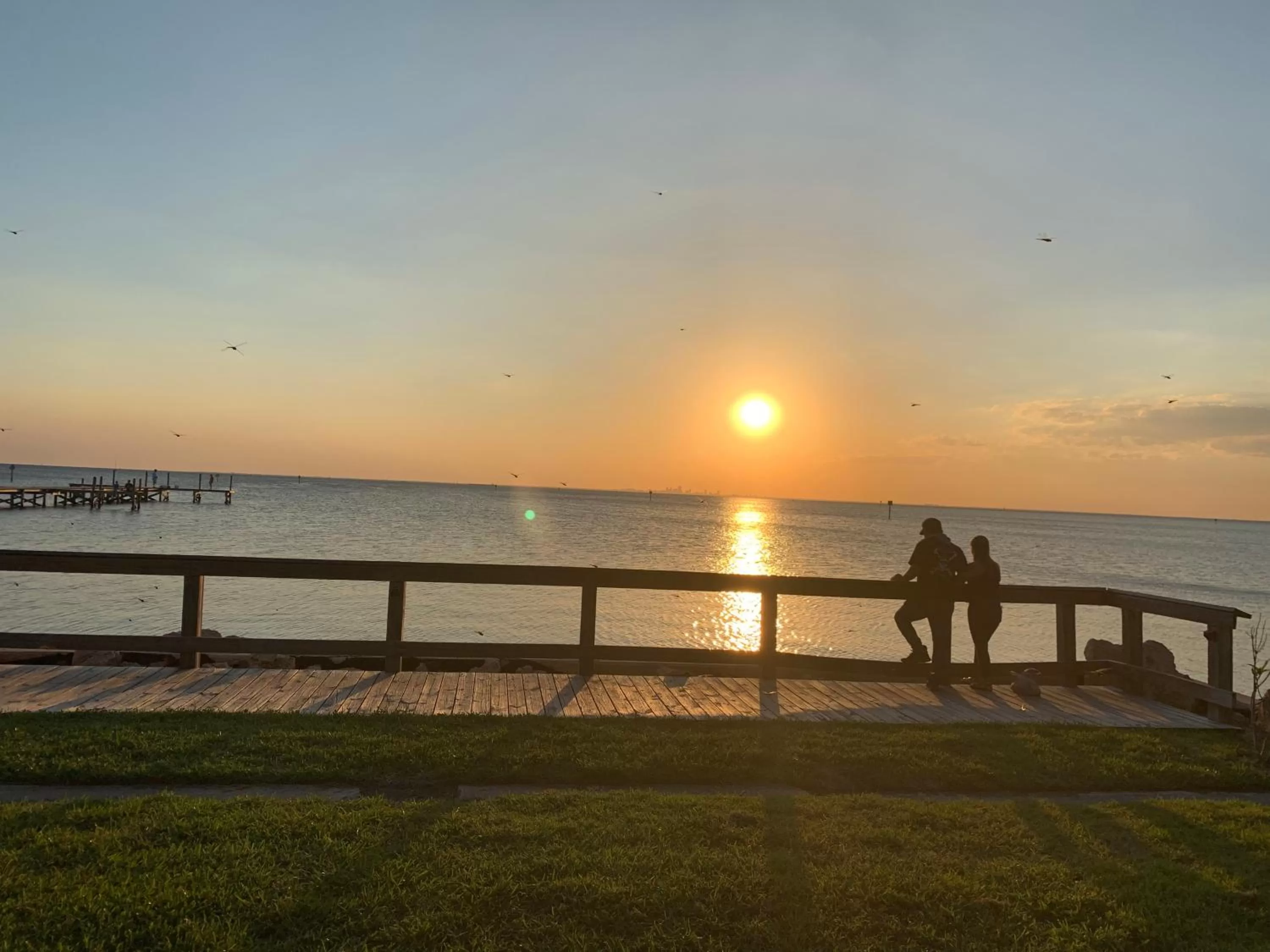 Beach in TAMPA BAY, BEACH step away, WIFI, FREE PARKING,POOLS, JACUZZI