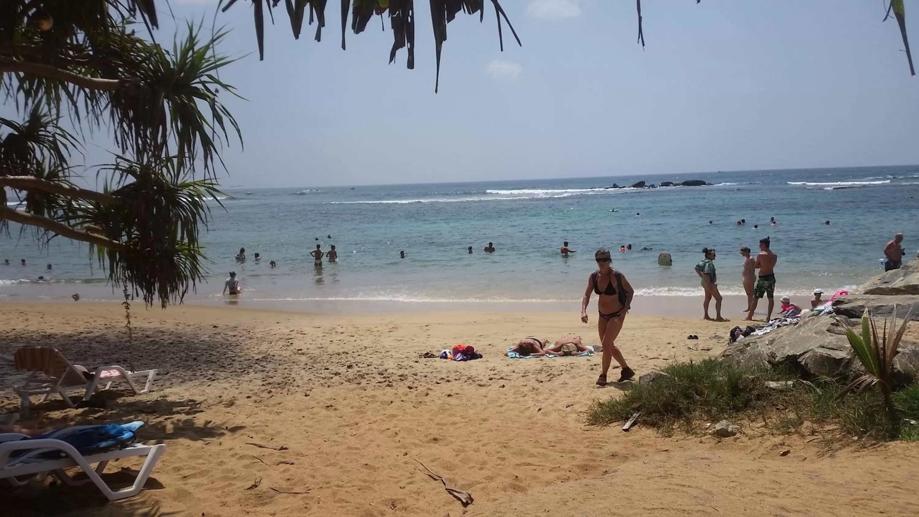 Beach in Turtle Reef Guest