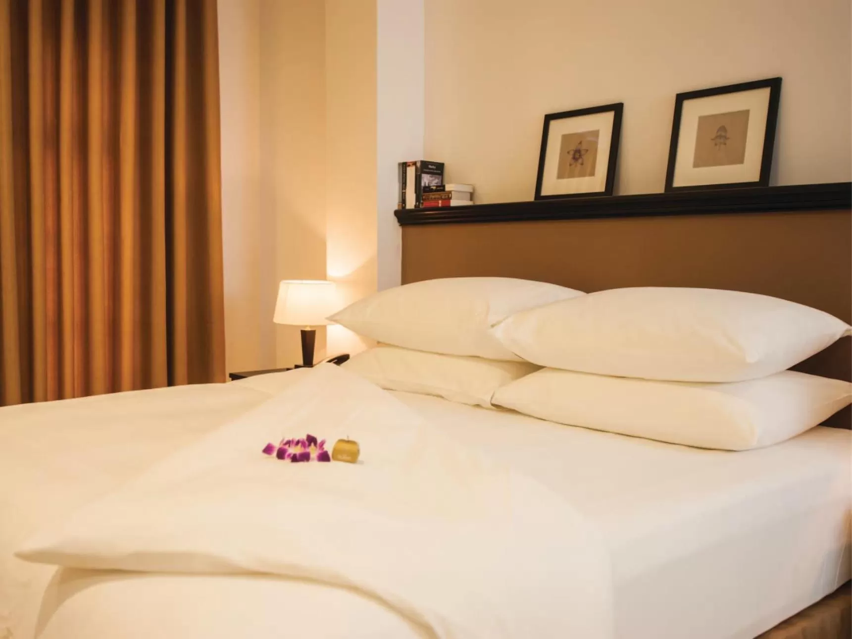 bunk bed in The Alcove Library Hotel