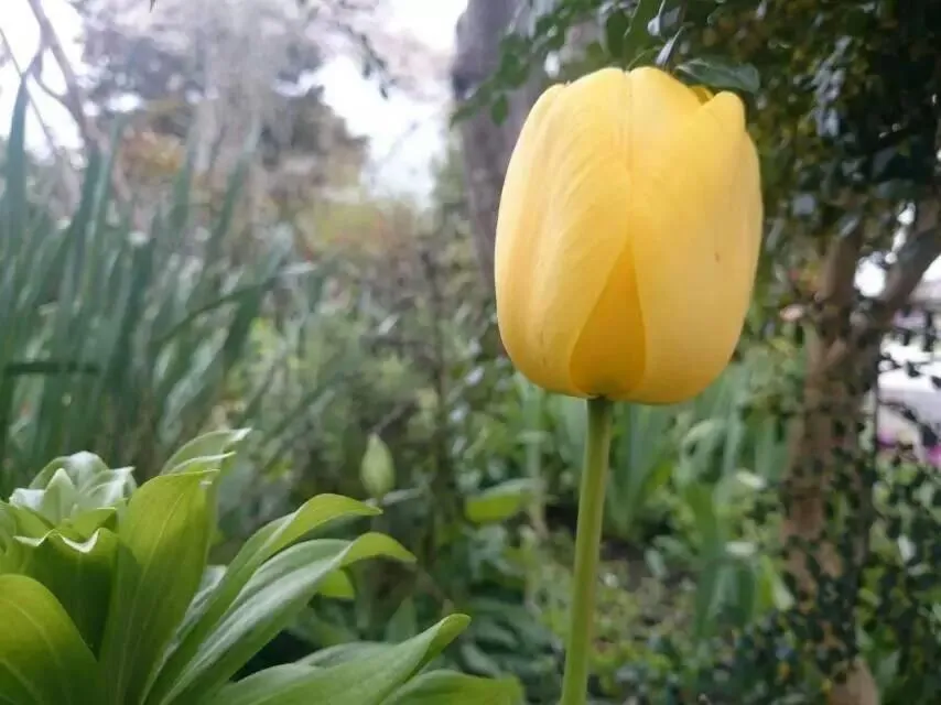 Day in Queens Park Motels