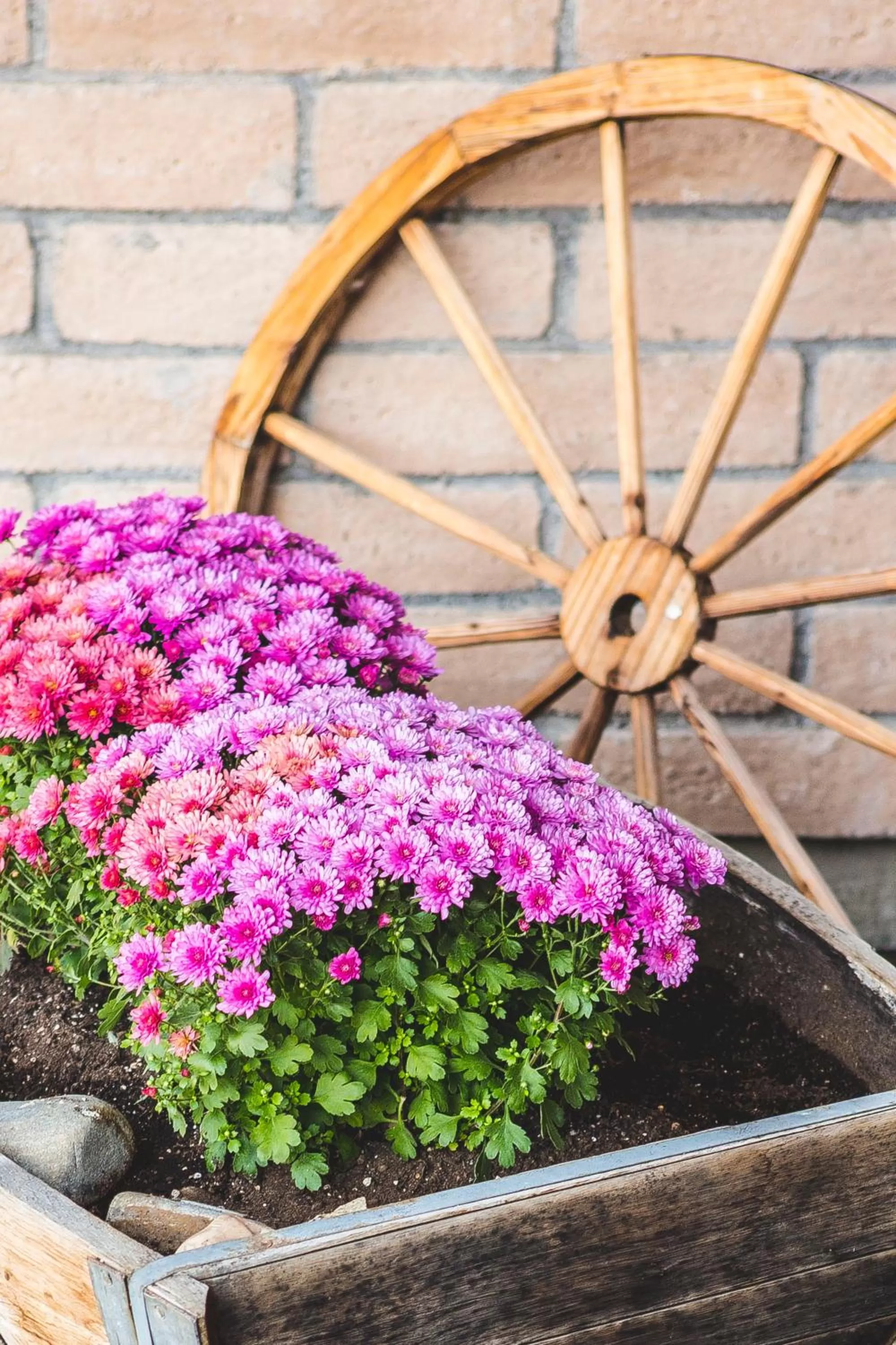 Decorative detail in The Stagecoach Inn
