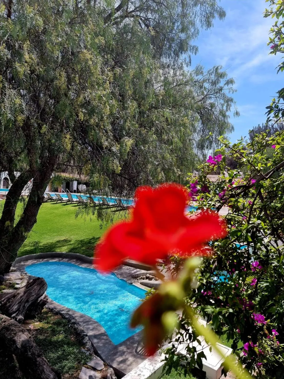 Spring in Hotel Hacienda Taboada (Aguas Termales)