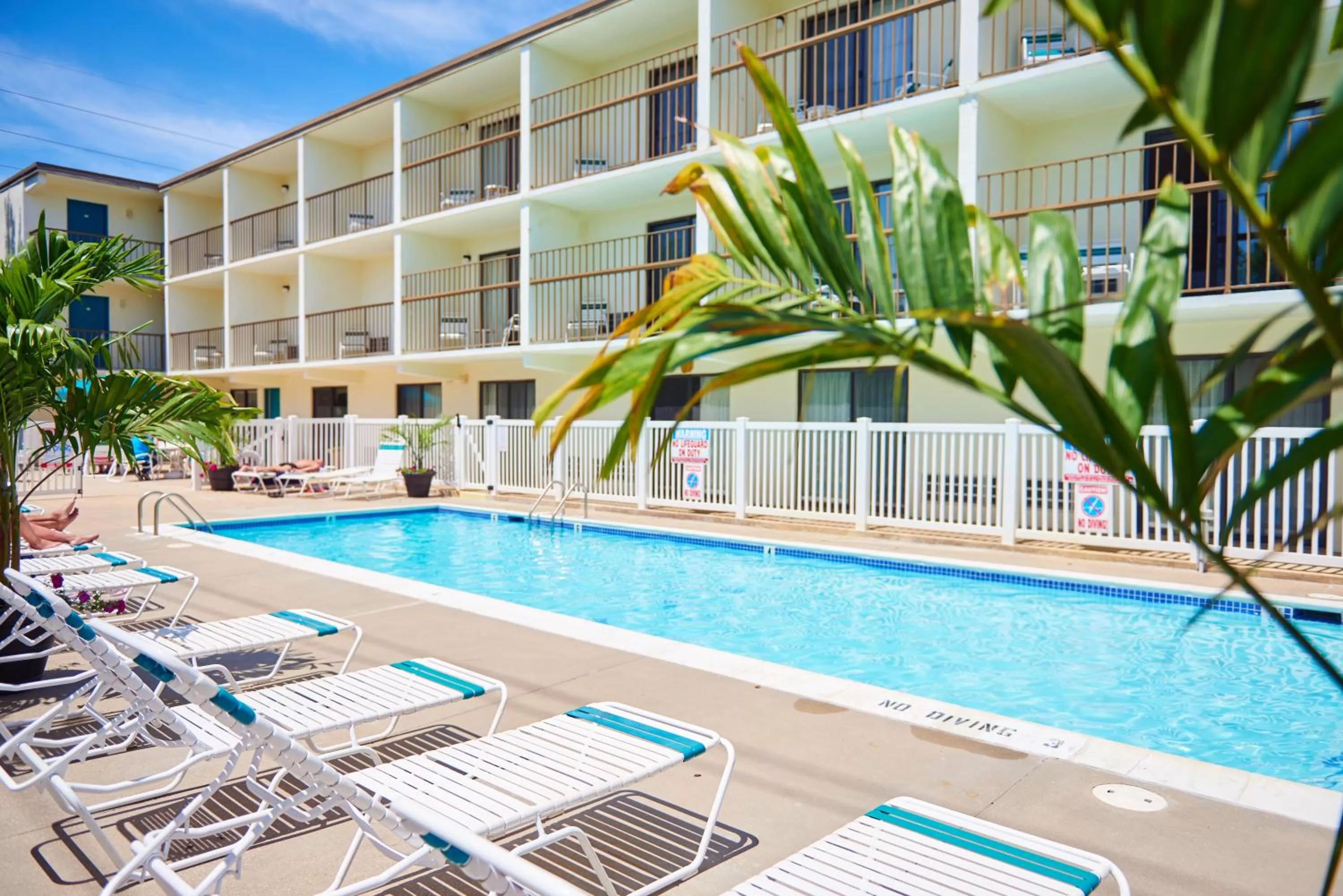 Swimming pool in The Bay Resort