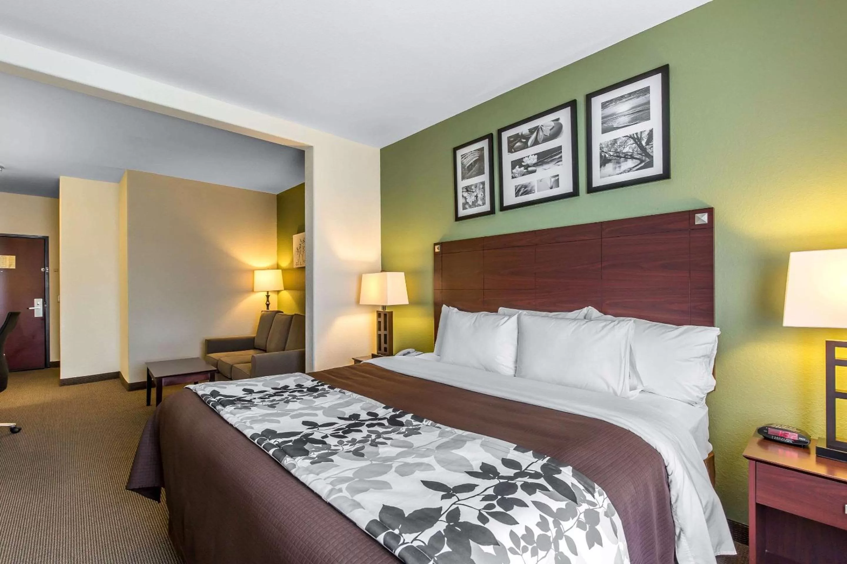 King Suite with Sofa Bed - Non Smoking in Sleep Inn & Suites Bush Intercontinental - IAH East
