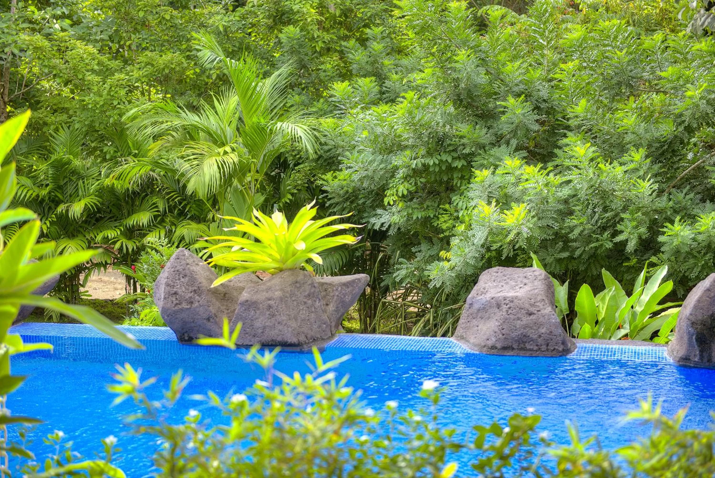 Patio in Pumilio Mountain & Ocean Hotel