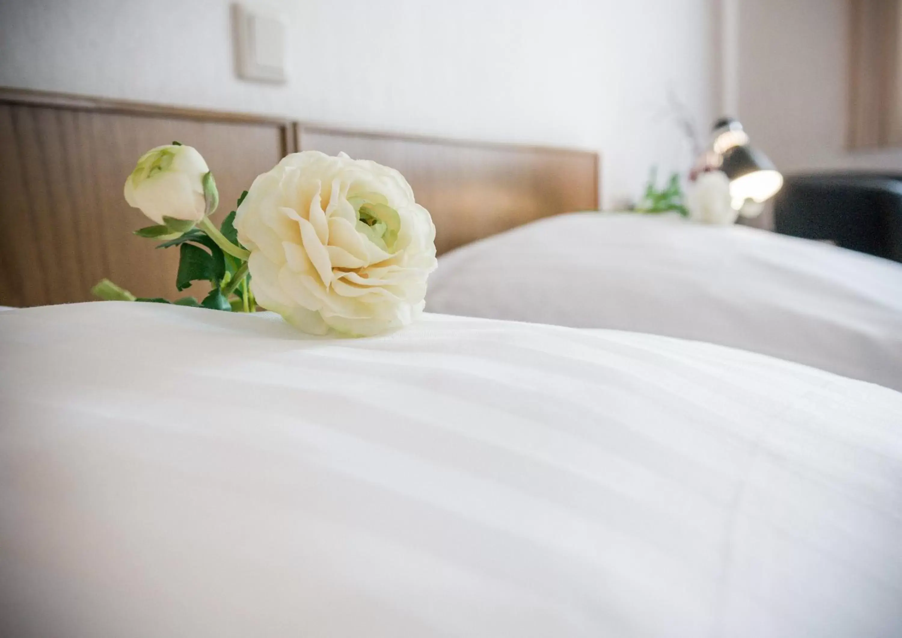 Double or Twin Room - single occupancy in Hotel Hilling Double or Twin Room - single occupancy in Hotel Hilling