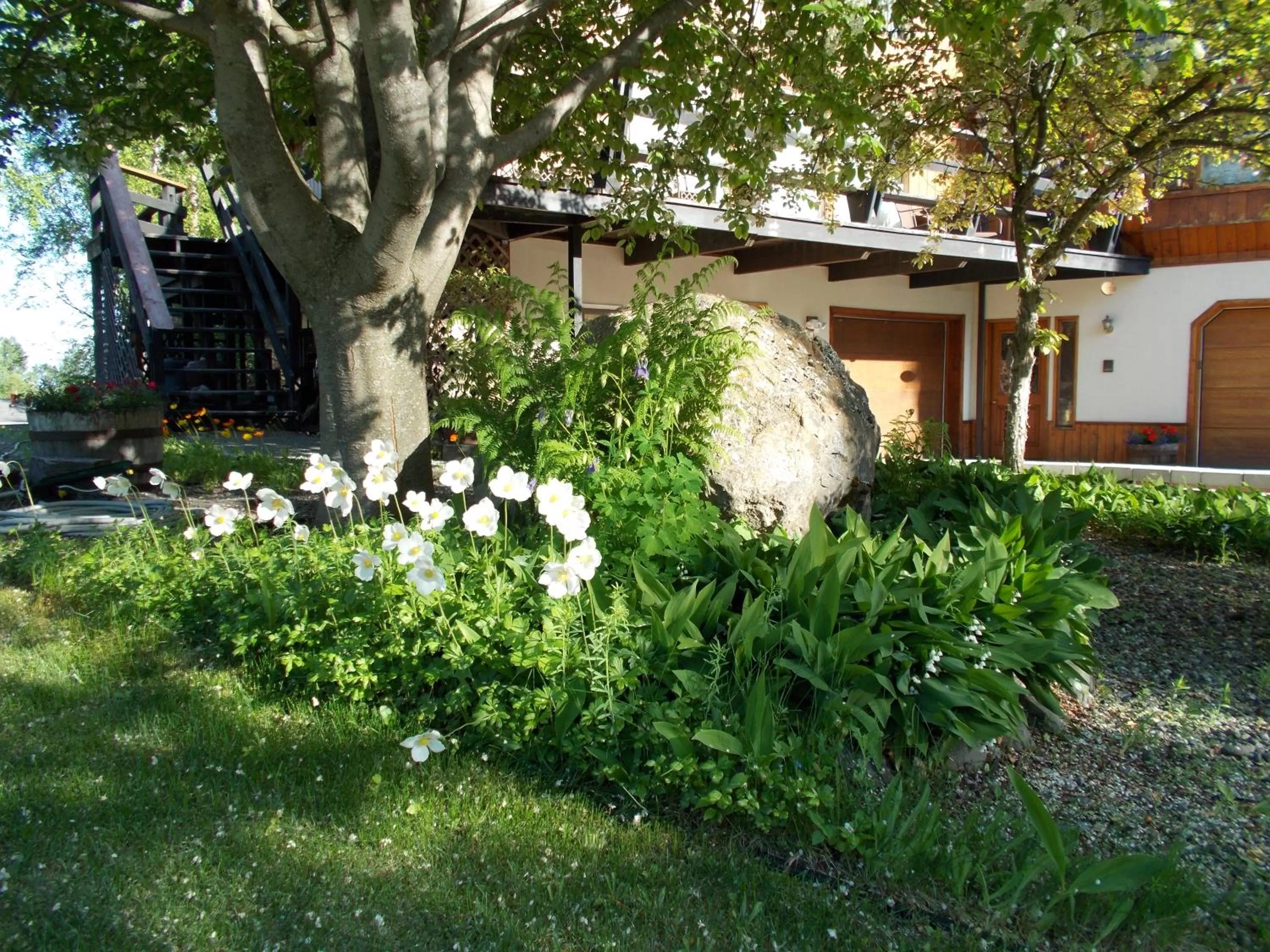 Alaska Chalet Bed & Breakfast