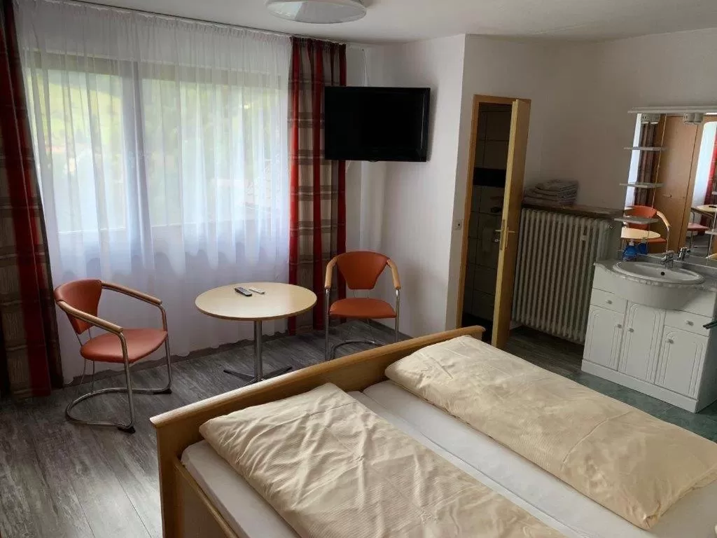 TV/Entertainment Center in Hotel Cafe Waldeck