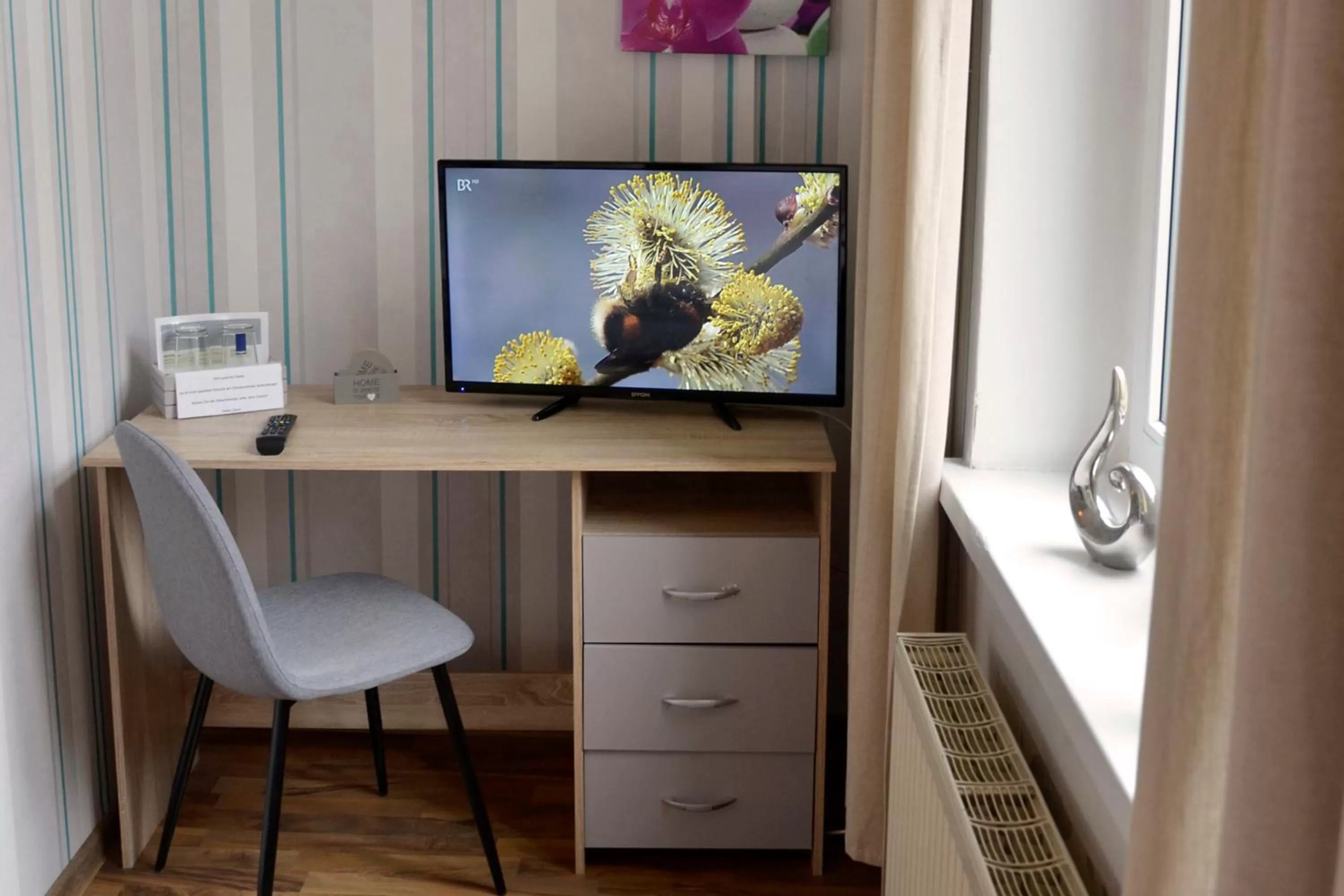 TV/Entertainment Center in Pension zur Neiße