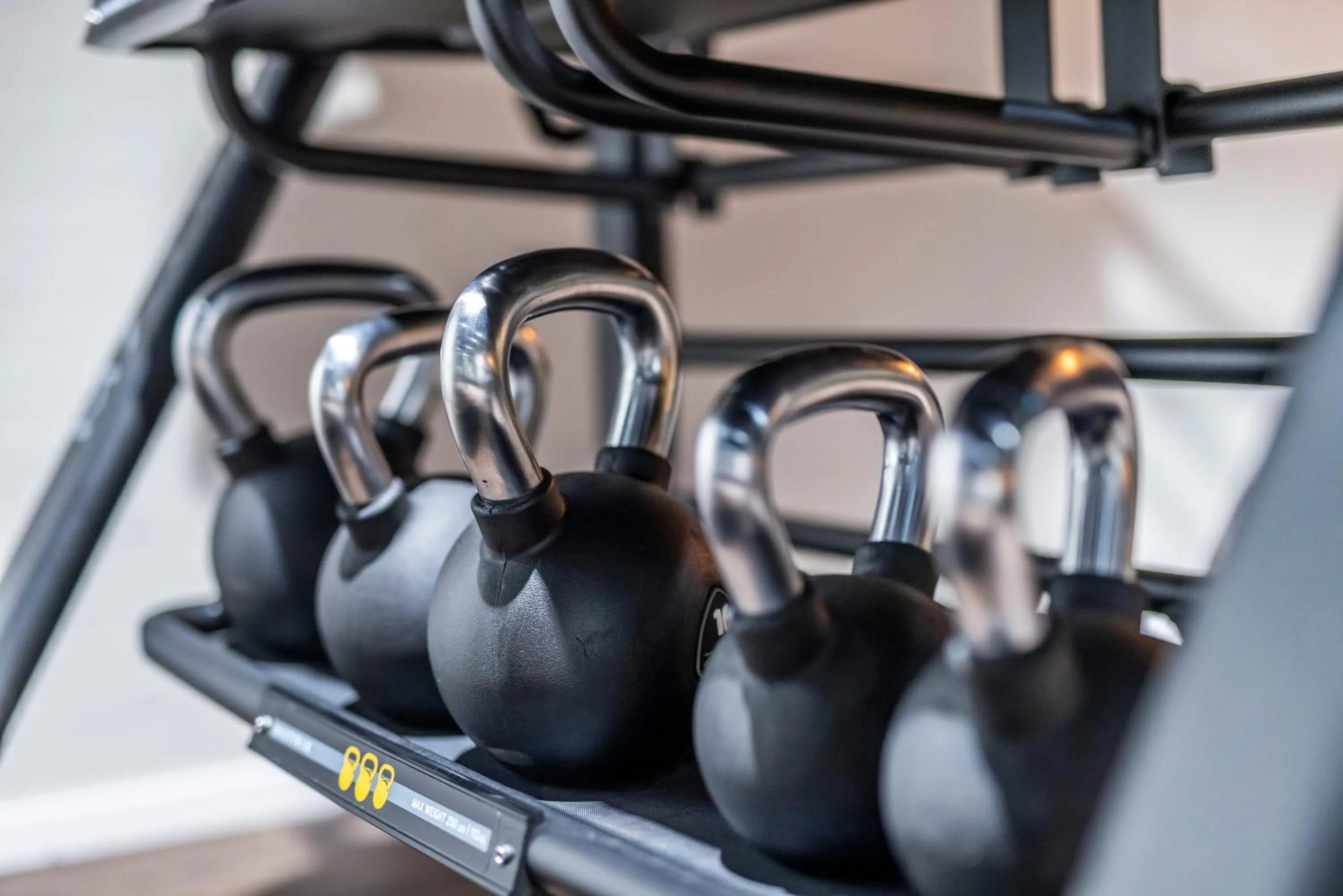 Activities in Comwell Bygholm Park