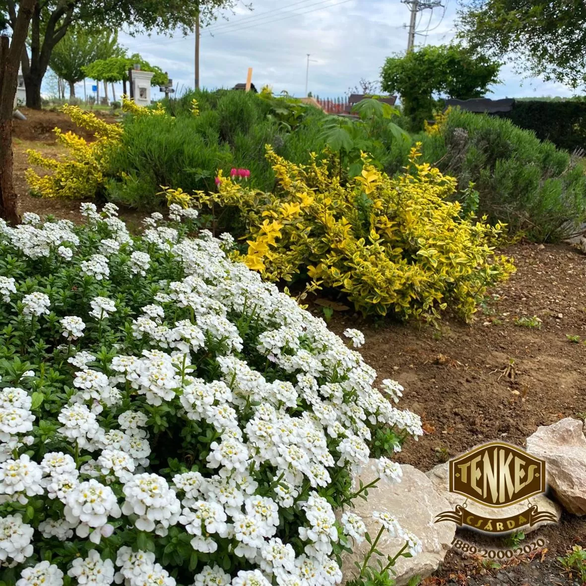 Tenkes Fogadó és Vendégház Harkány