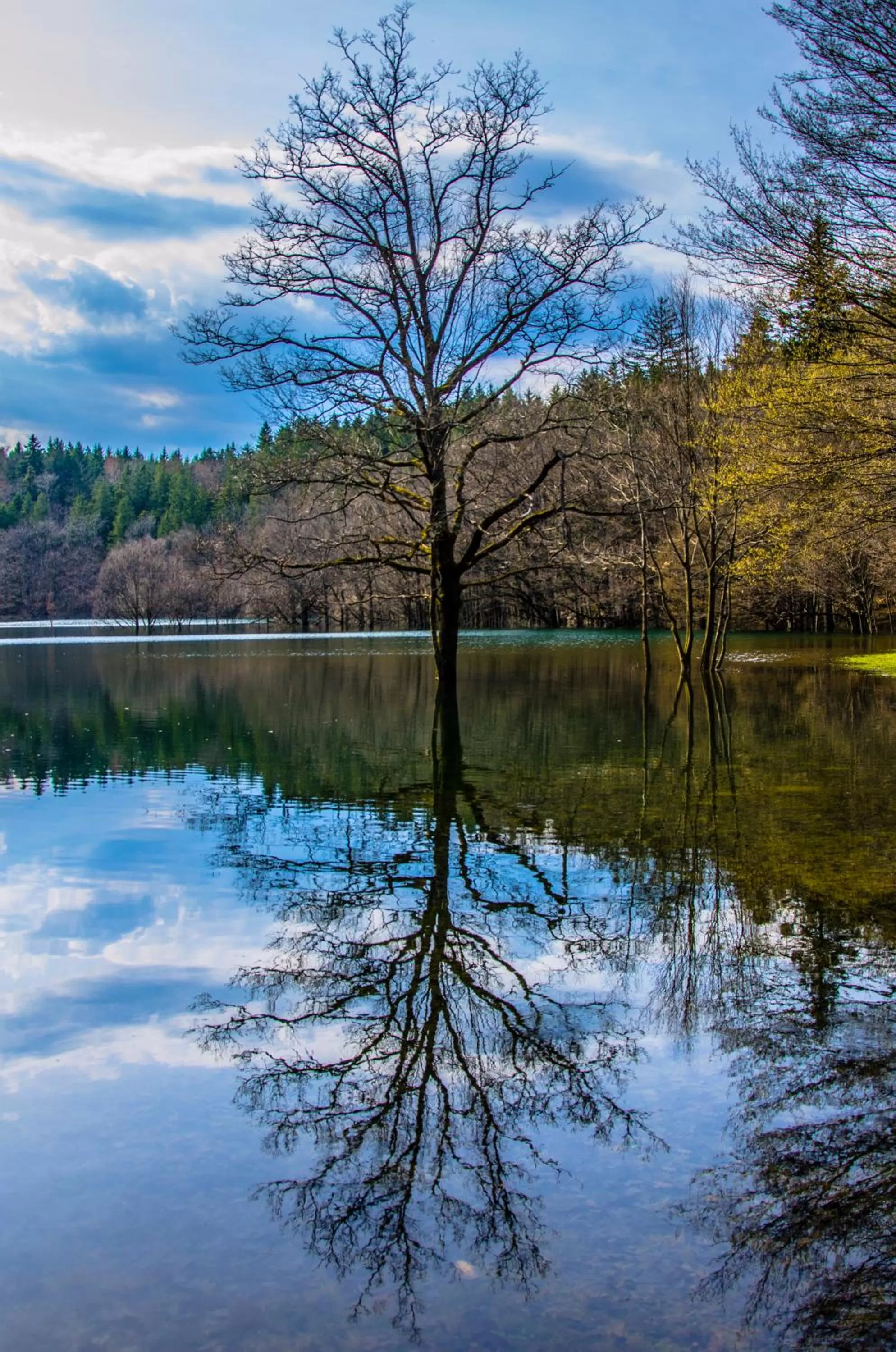Hiking in Miškar Rooms