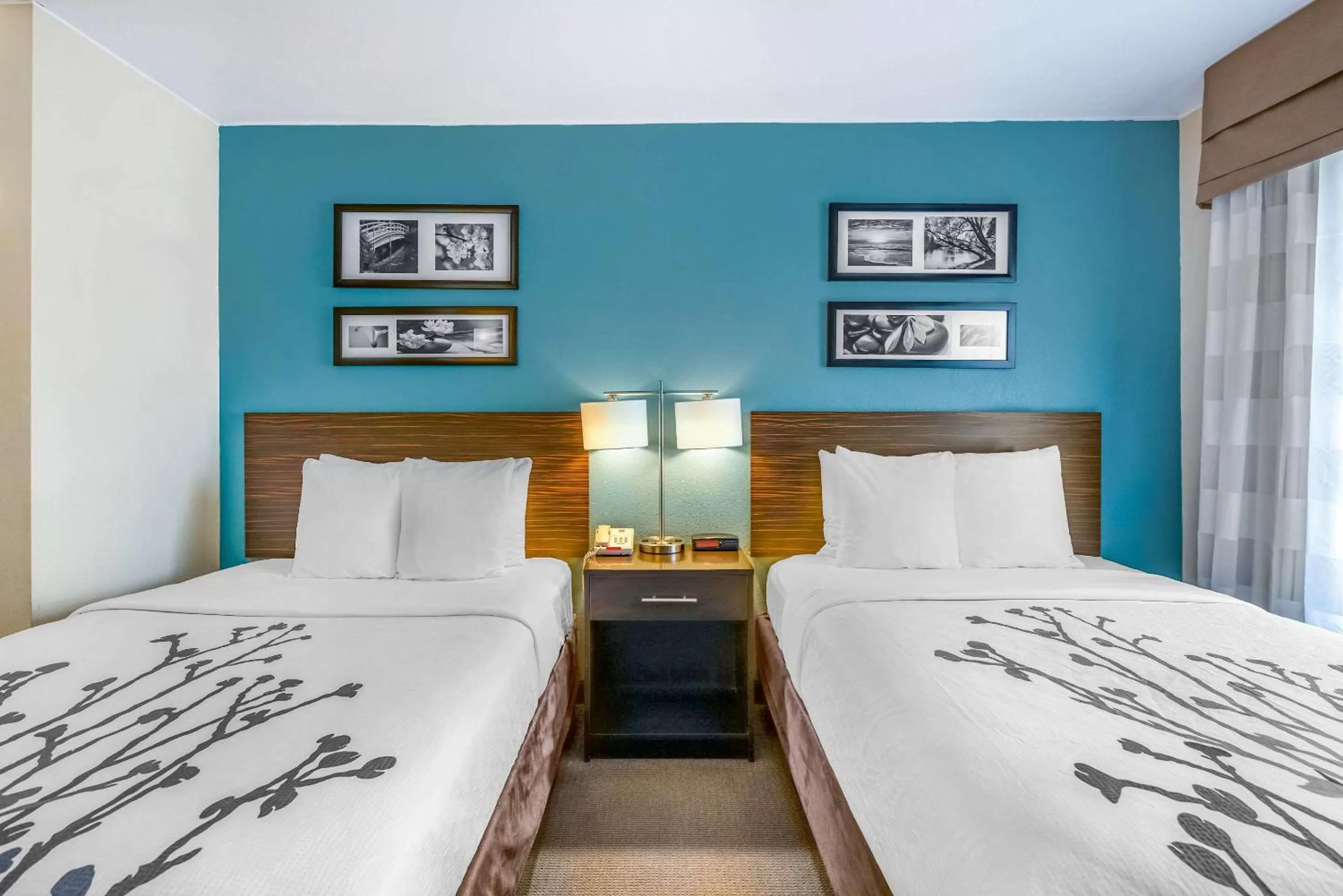 Photo of the whole room, Bed in Sleep Inn near Washington State Line