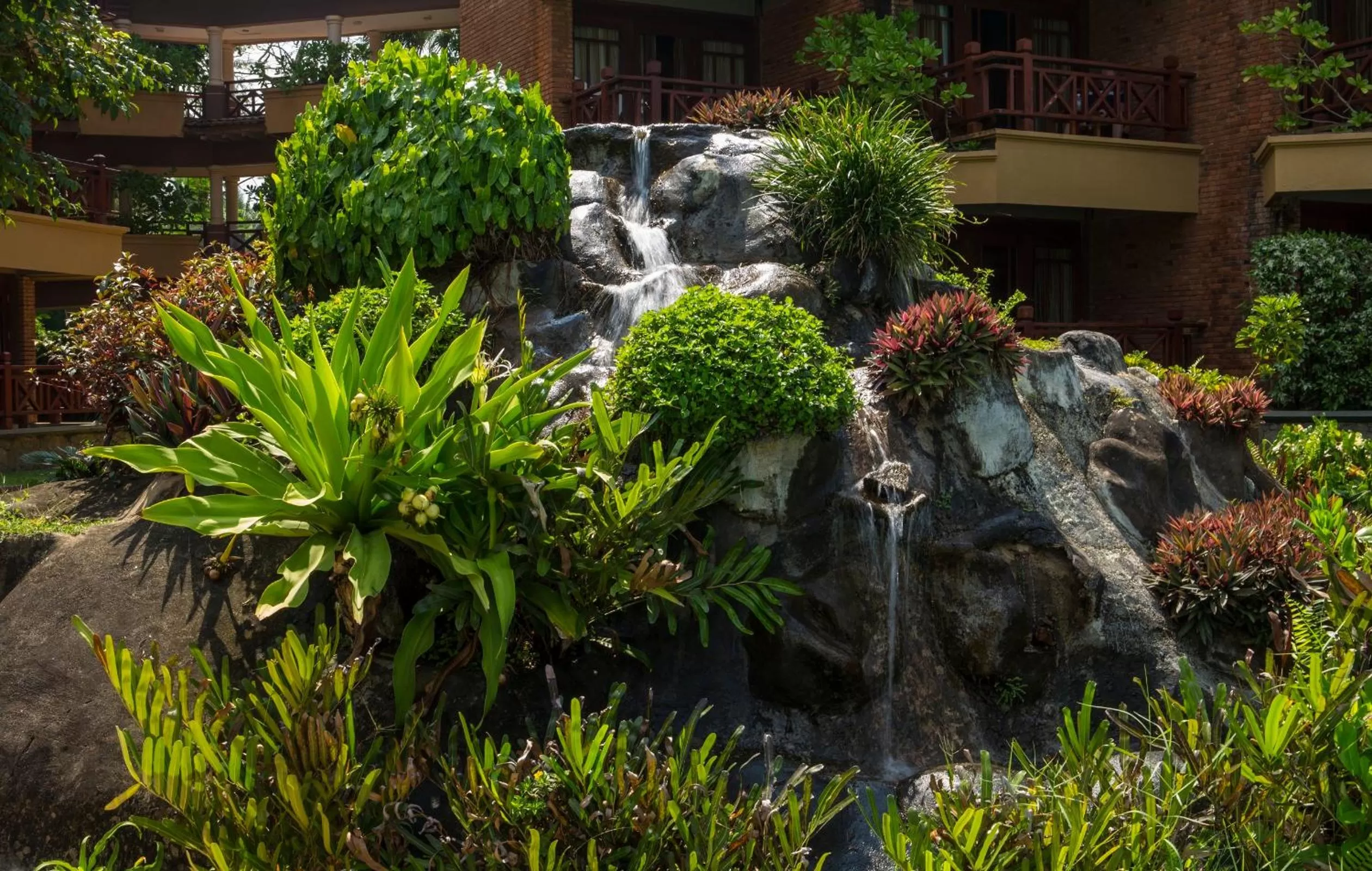 Garden in Royal Palms Beach Hotel