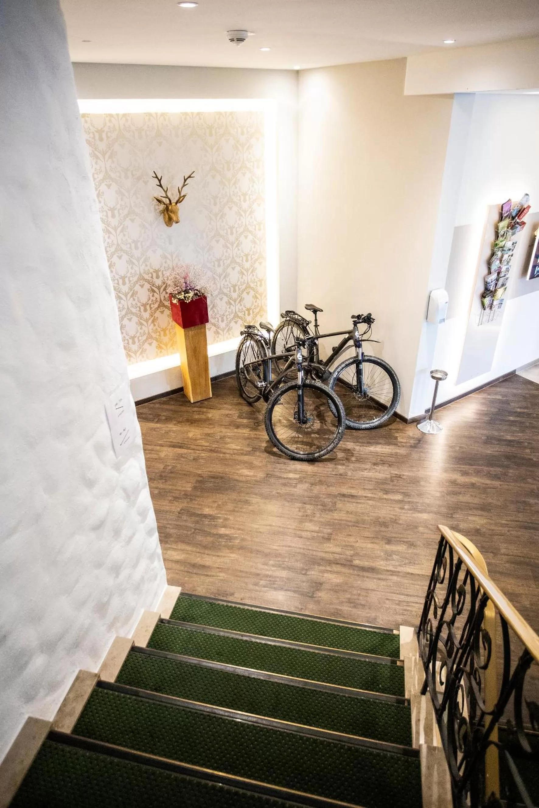 Cycling in Romantik Hotel Stryckhaus