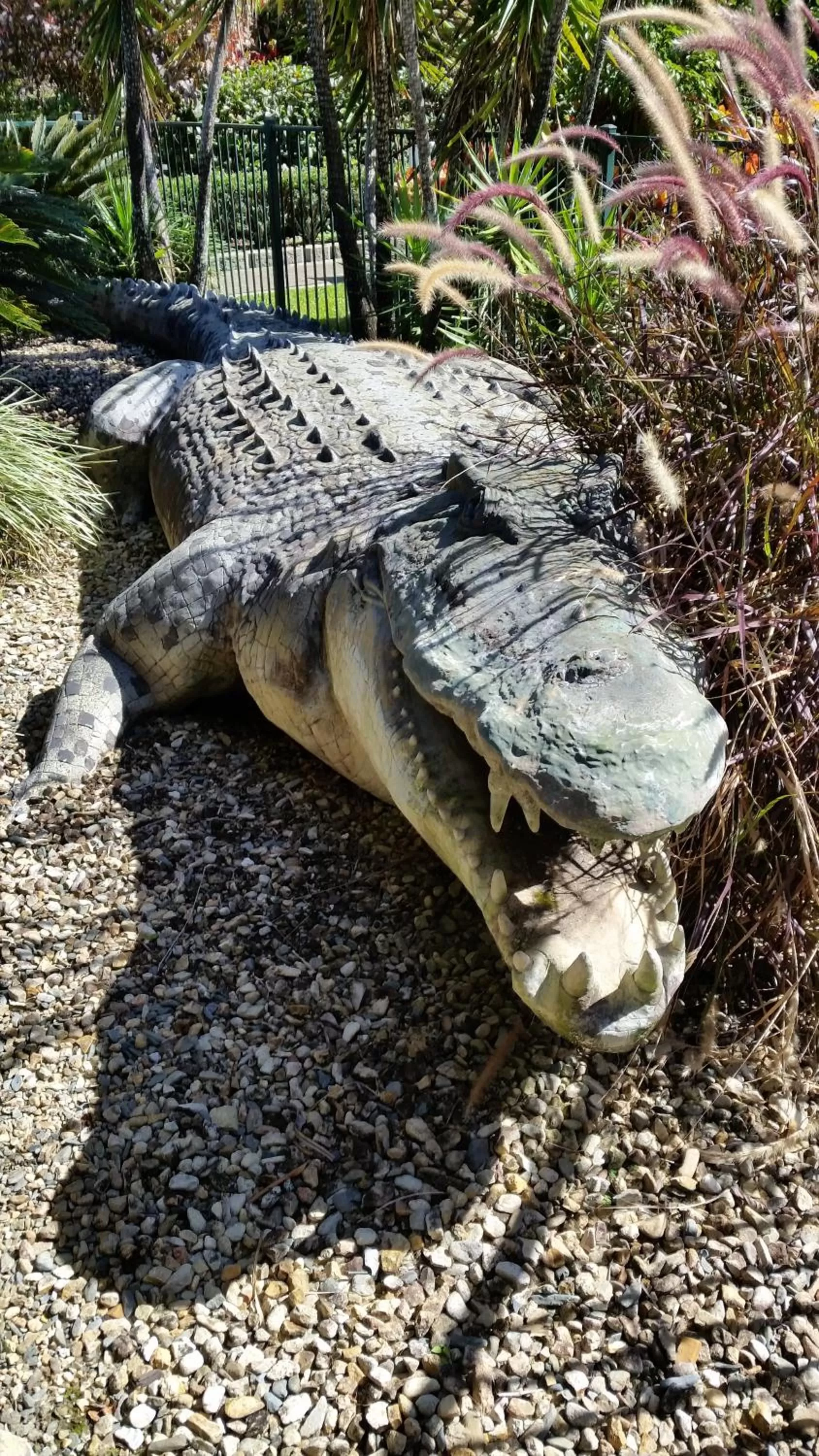 Natural landscape in Cairns Gateway Resort