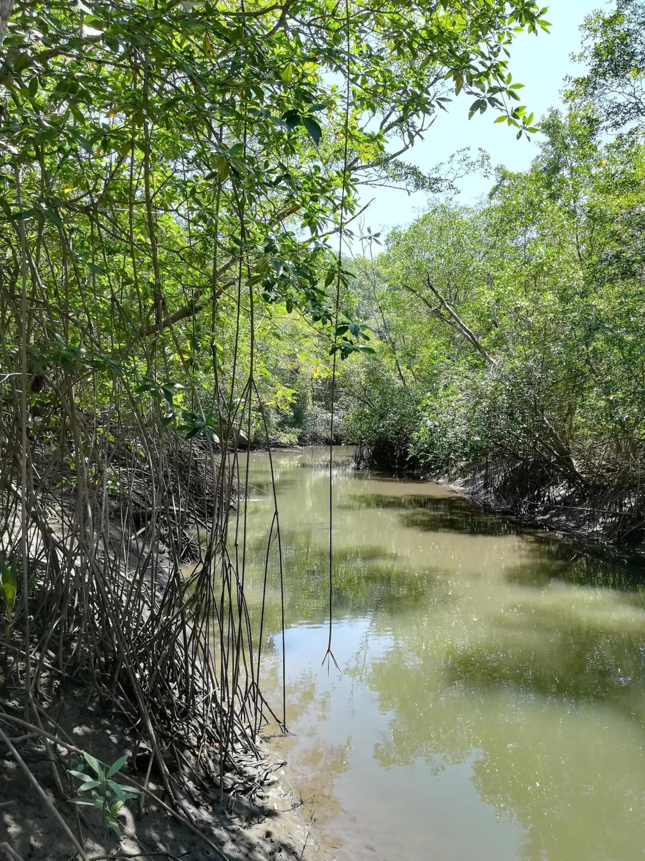 Natural landscape in El Gecko Hotel & Tours
