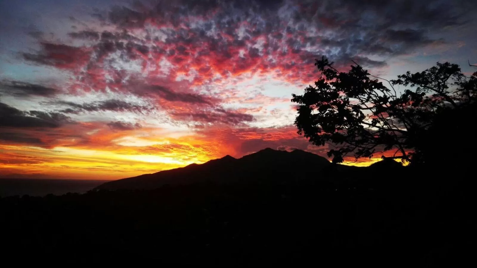Villa Cajou (Chambre d'hôtes chez l'habitant)