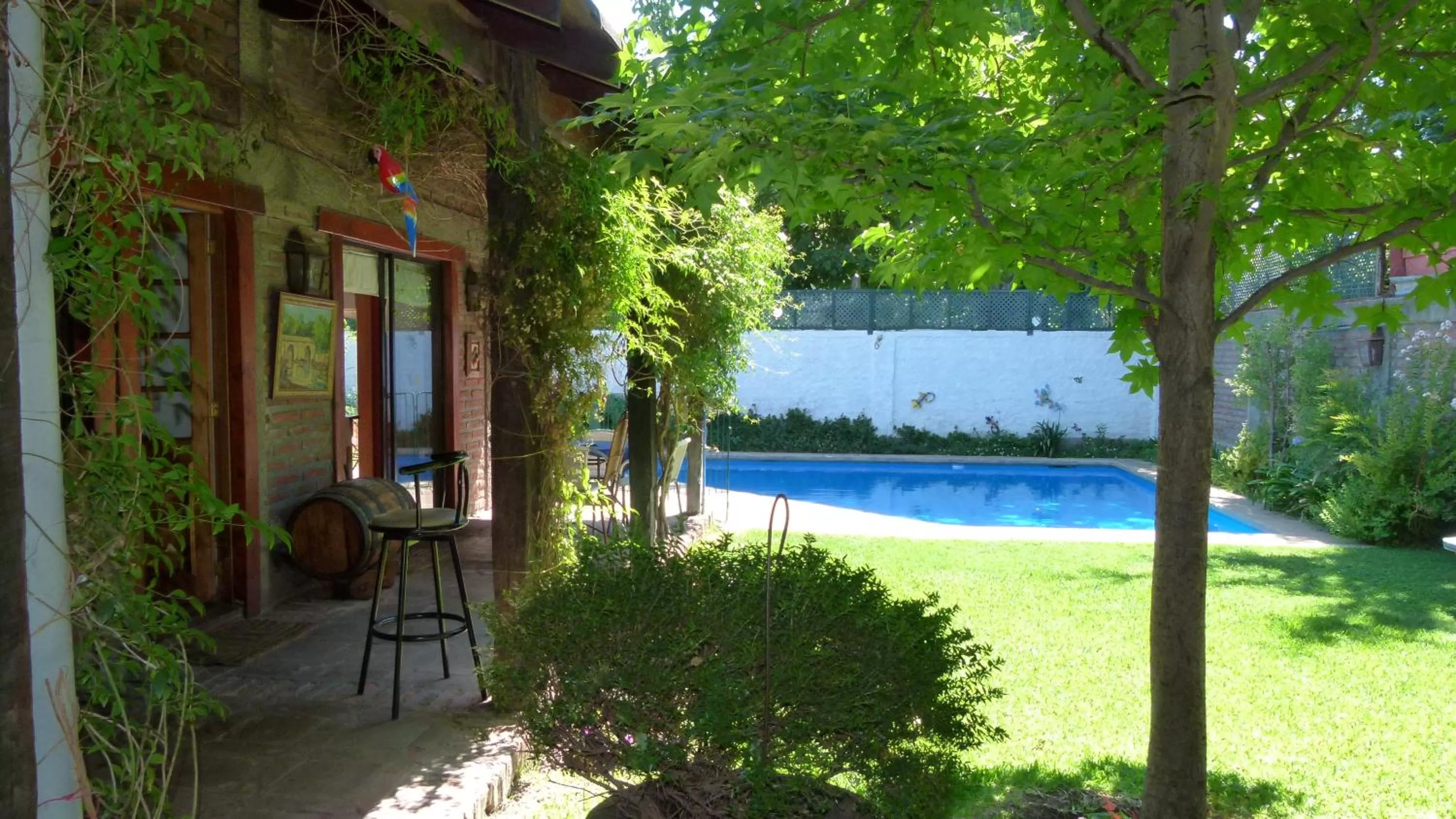 Garden in Hostal Cepa Noble