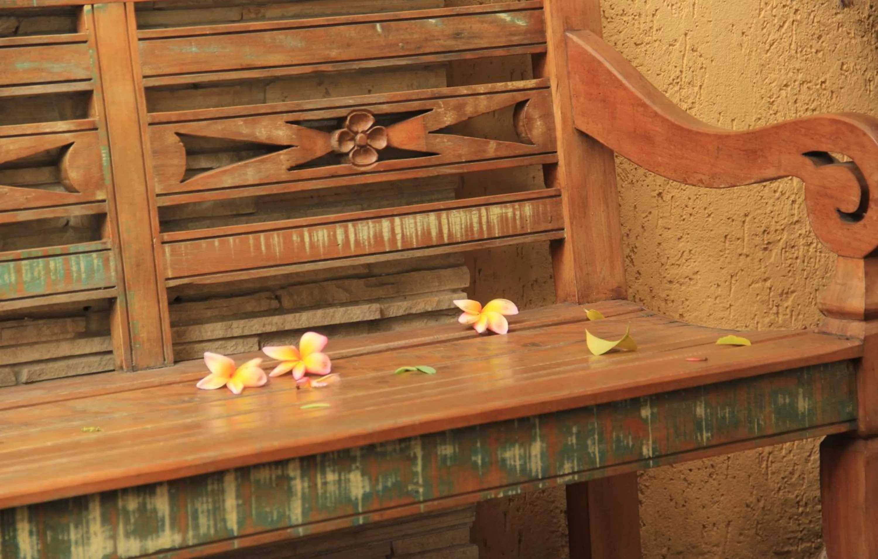 Garden in Pousada dos Franceses