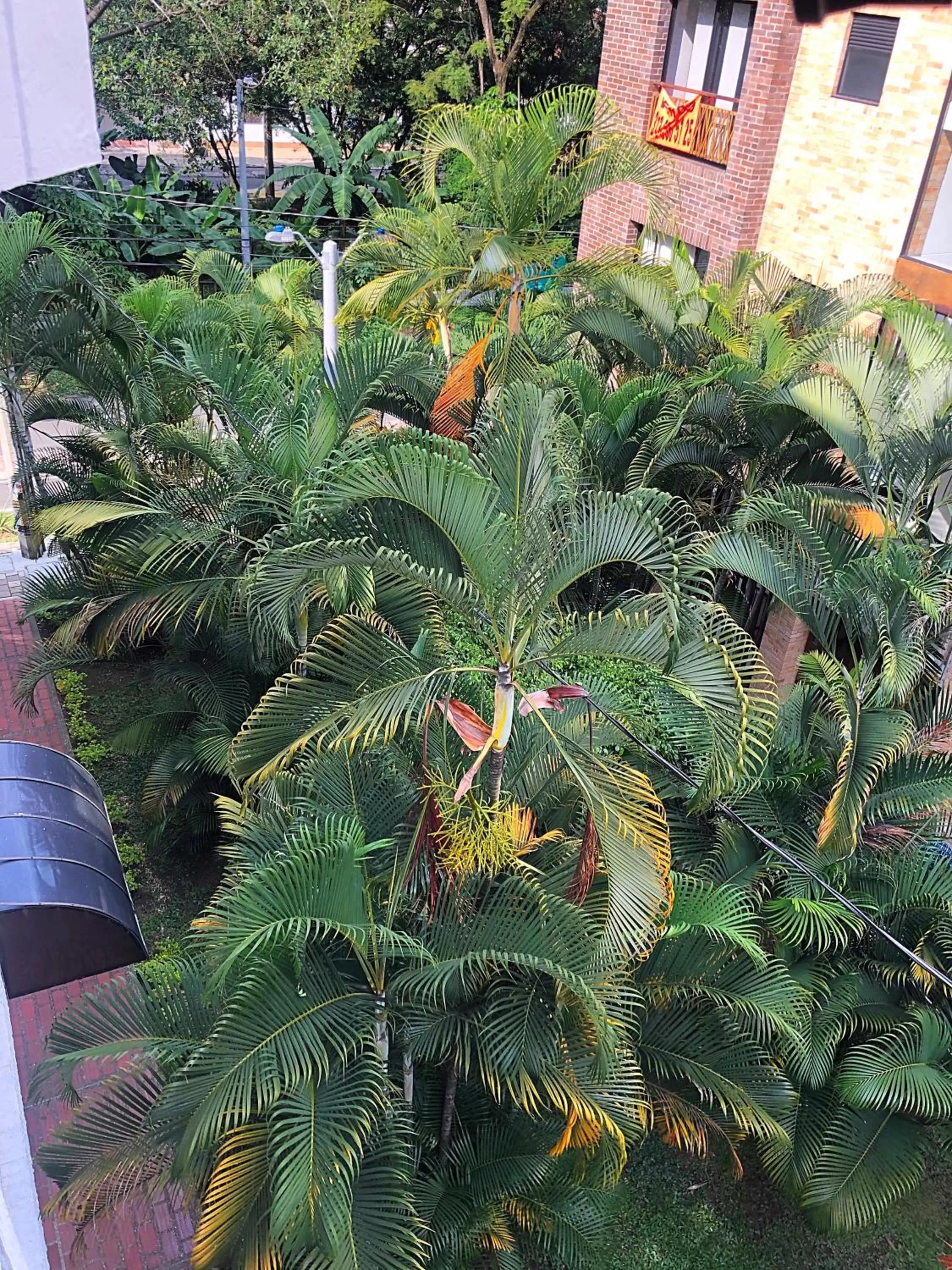 View (from property/room) in Casa Rosales