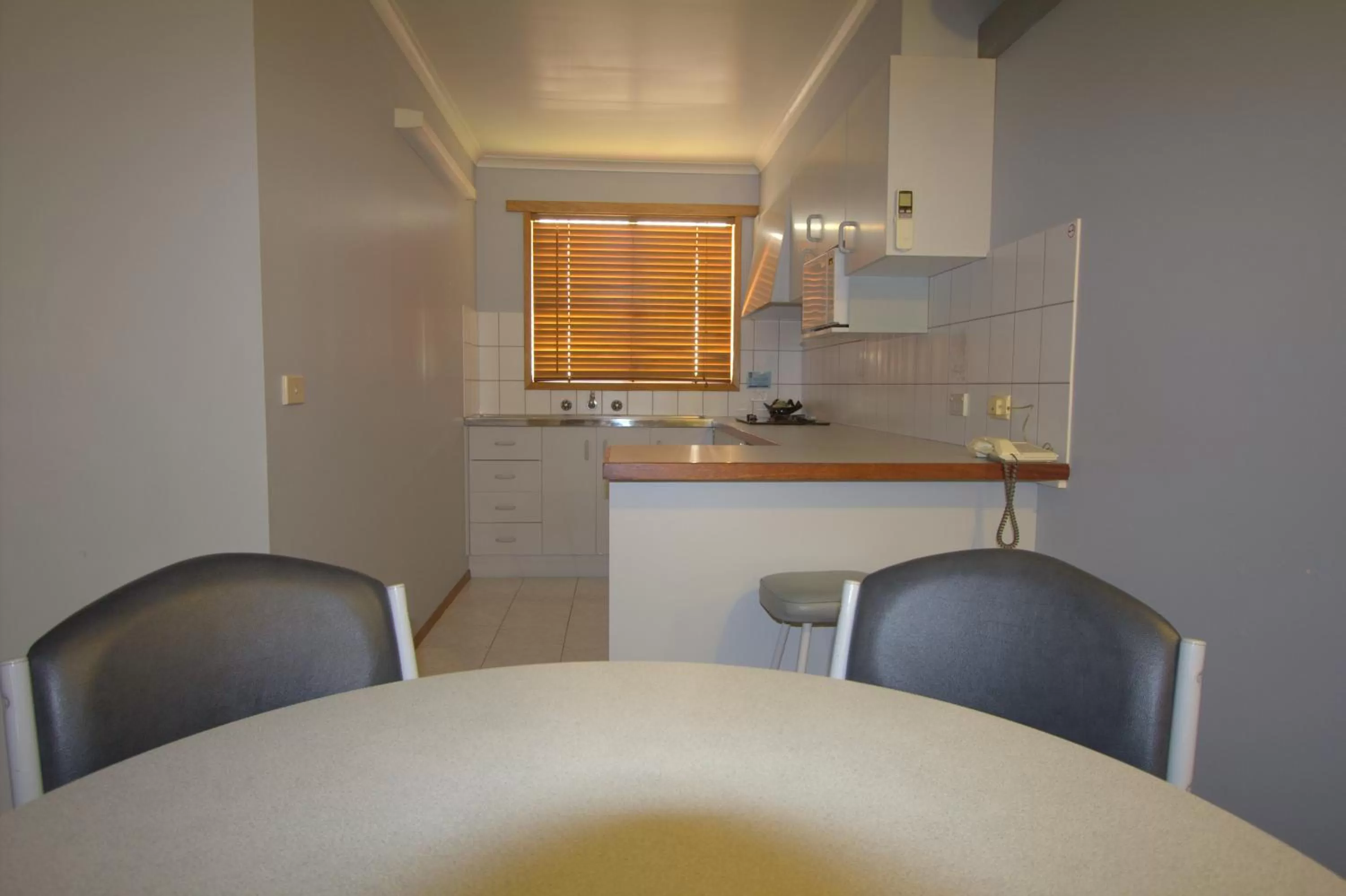 Kitchen or kitchenette in Blue Whale Motor Inn & Apartments