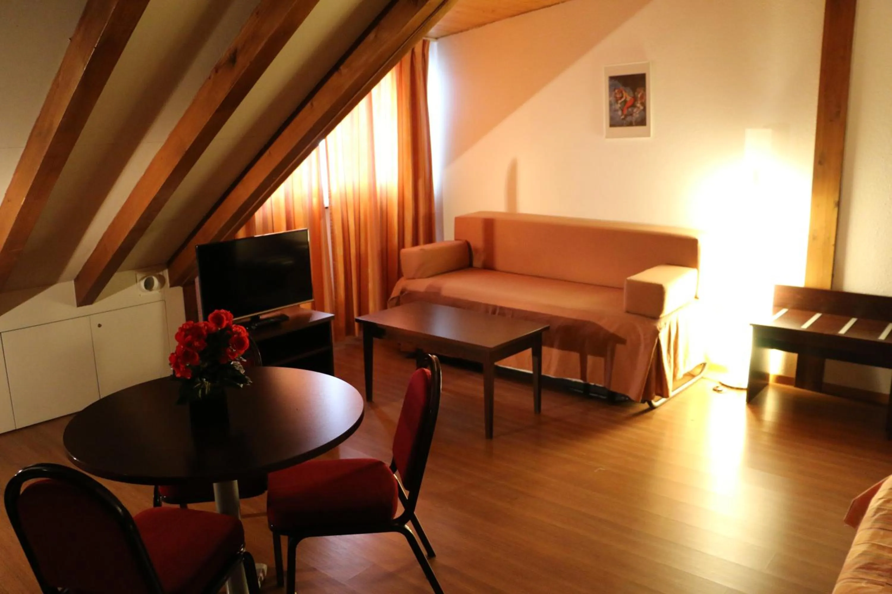 TV and multimedia in Calvy