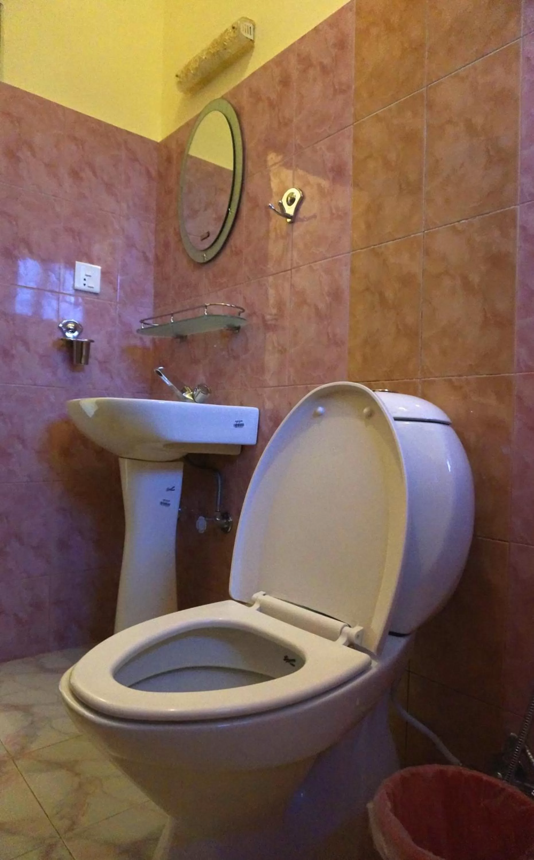 Toilet in New Annapurna Guest House