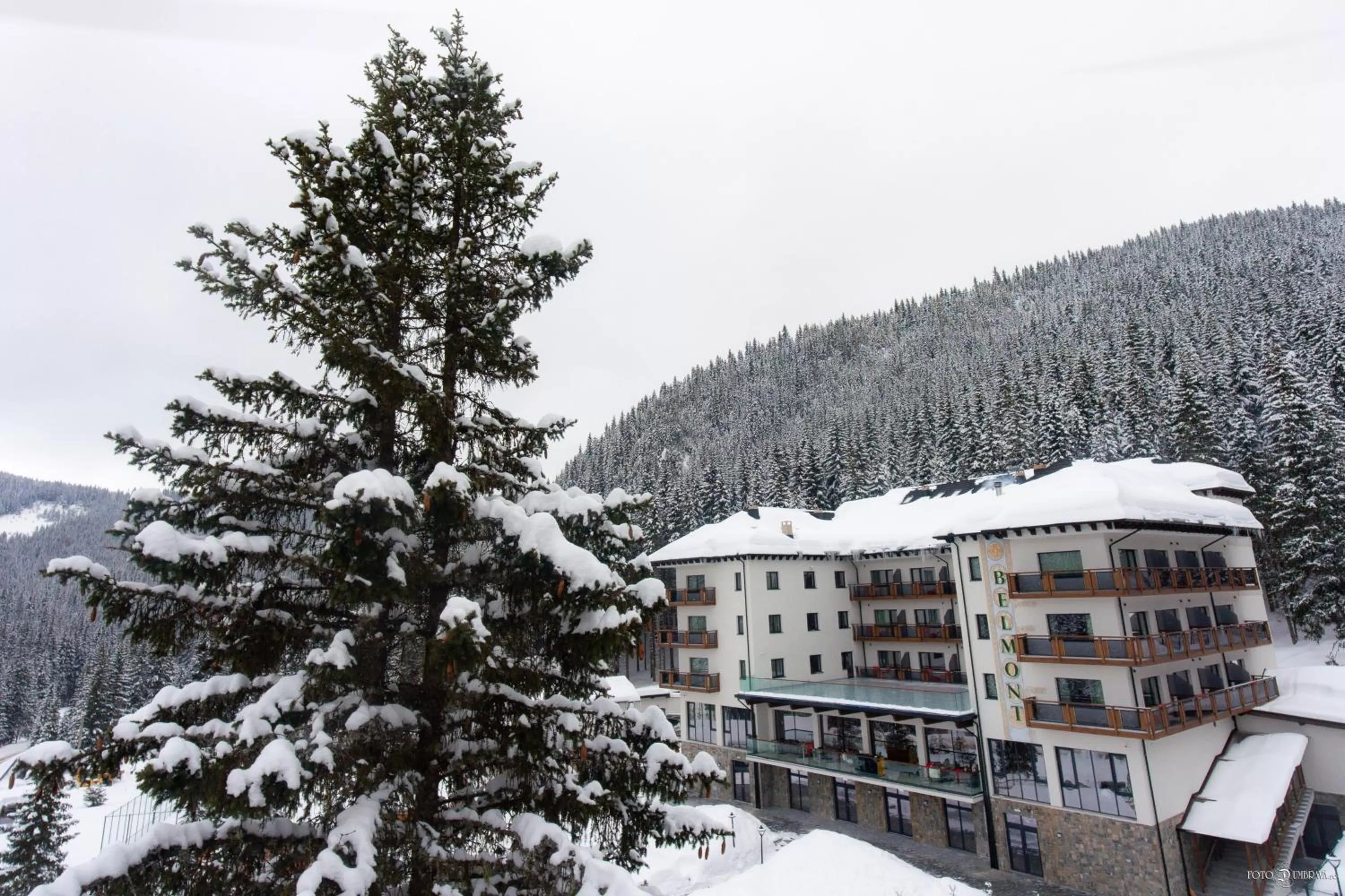 Property building in Hotel Belmont & Spa