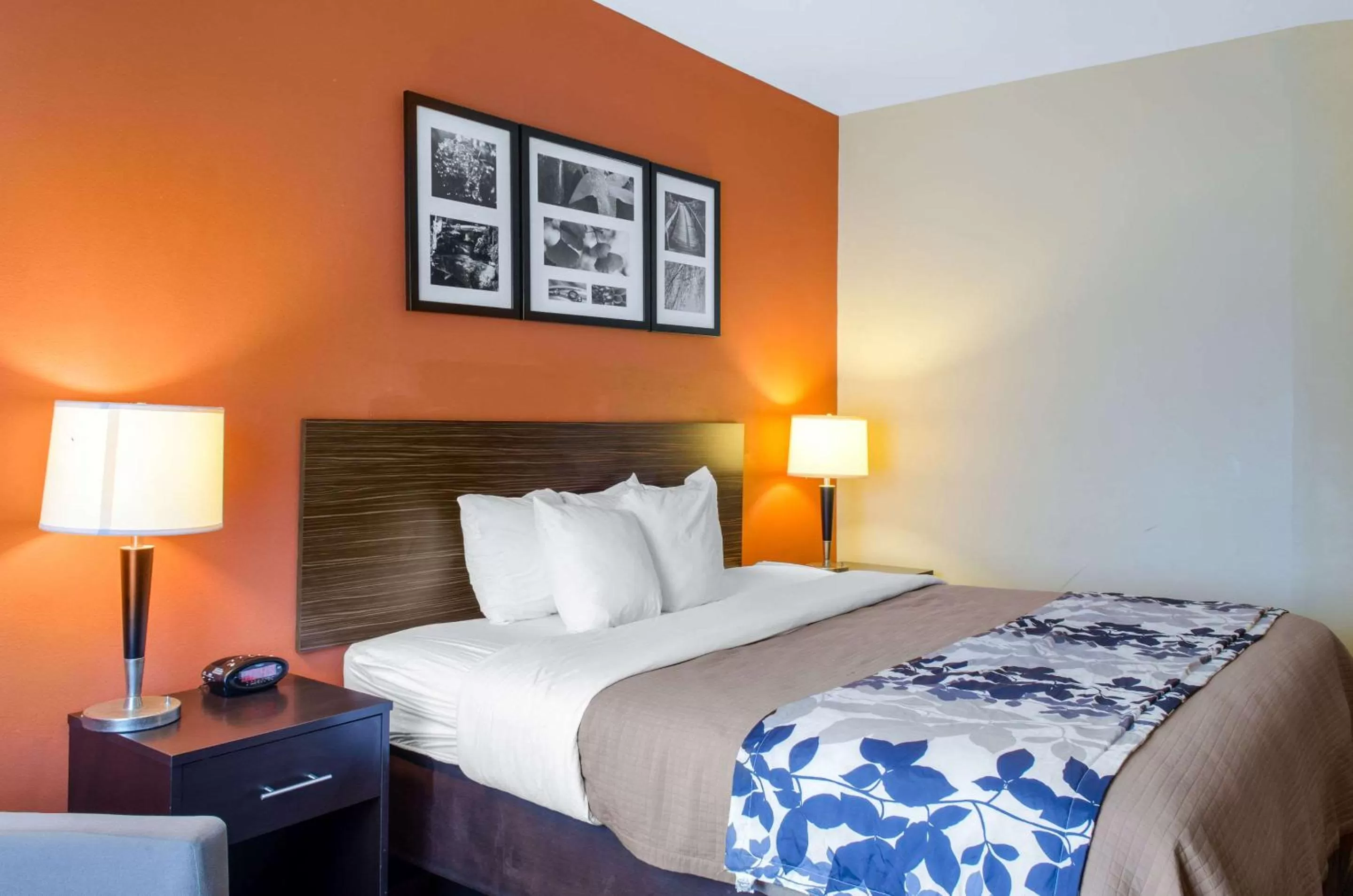 Photo of the whole room, Bed in Sleep Inn & Suites East Chase