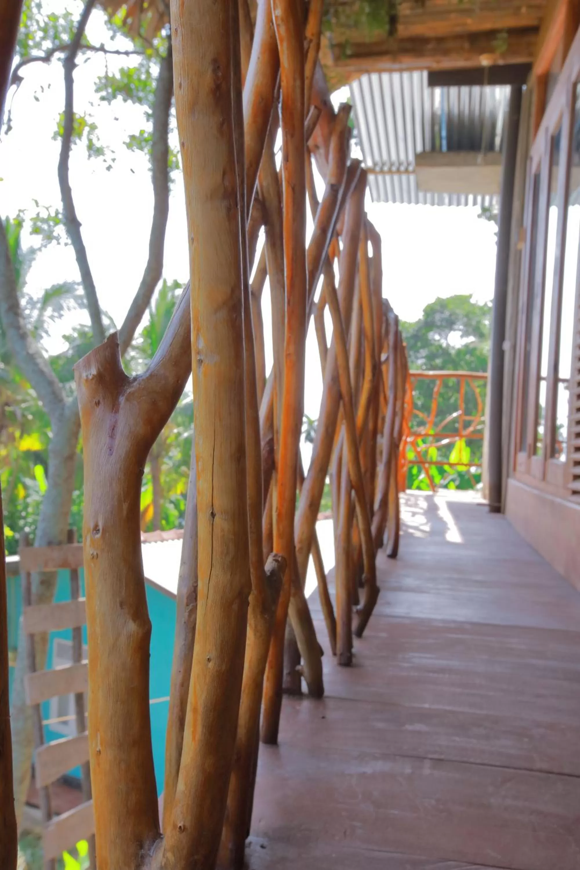 The Winsome & Tree House