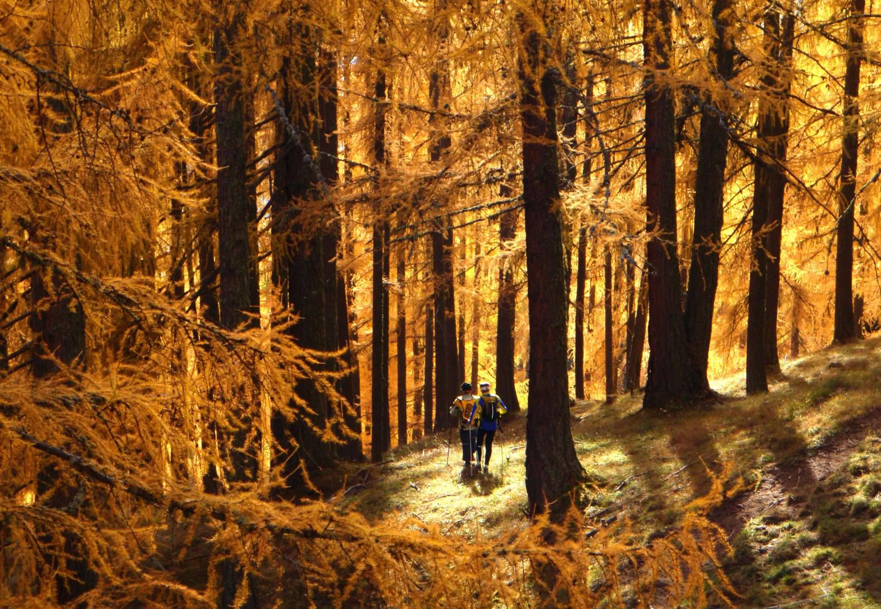 Natural landscape in Hotel Lagorai Resort & Spa