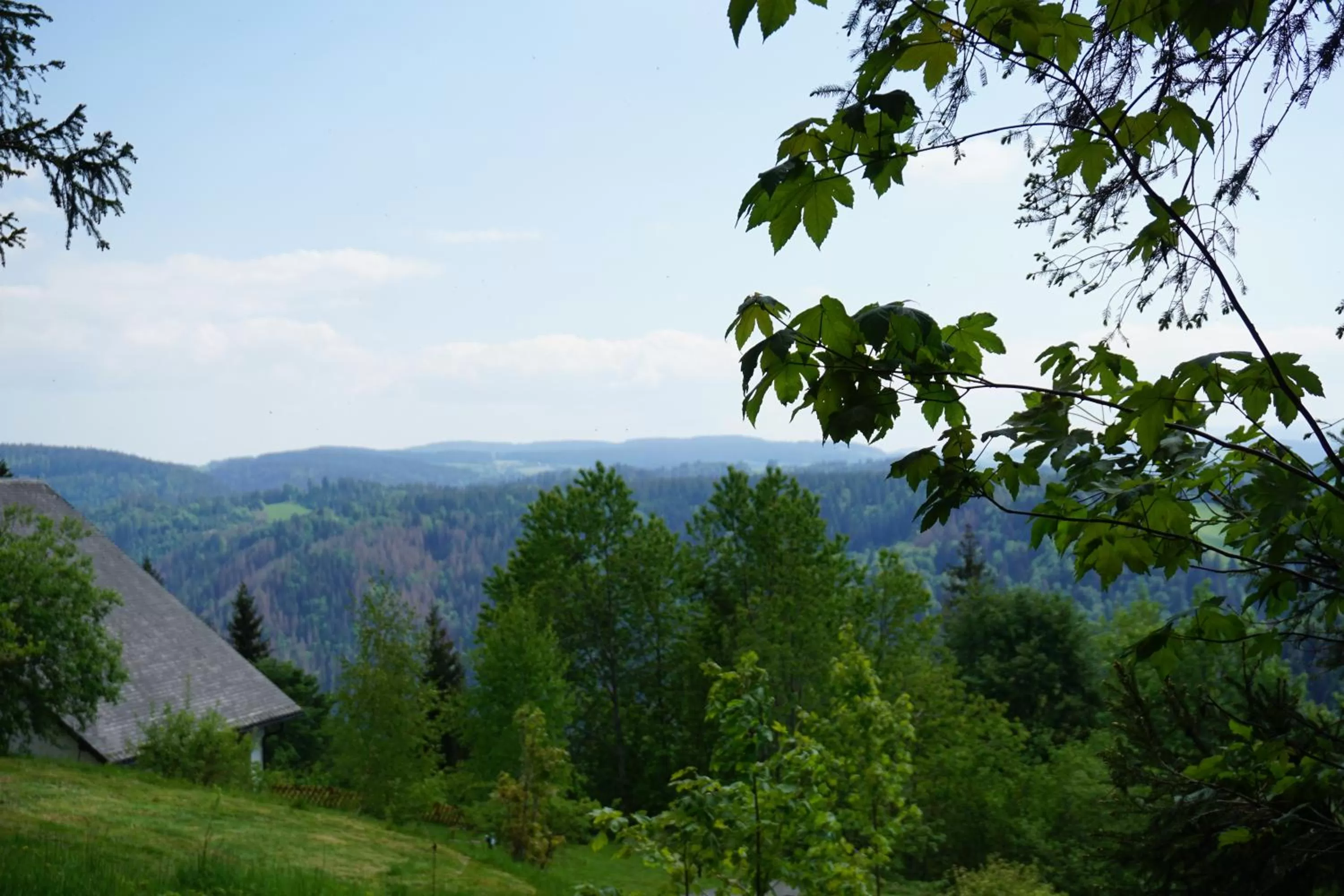 Natural landscape in Kurparkhotel Faißt
