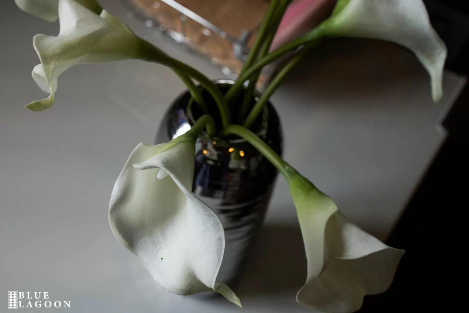 Decorative detail in Blue Lagoon Hotel