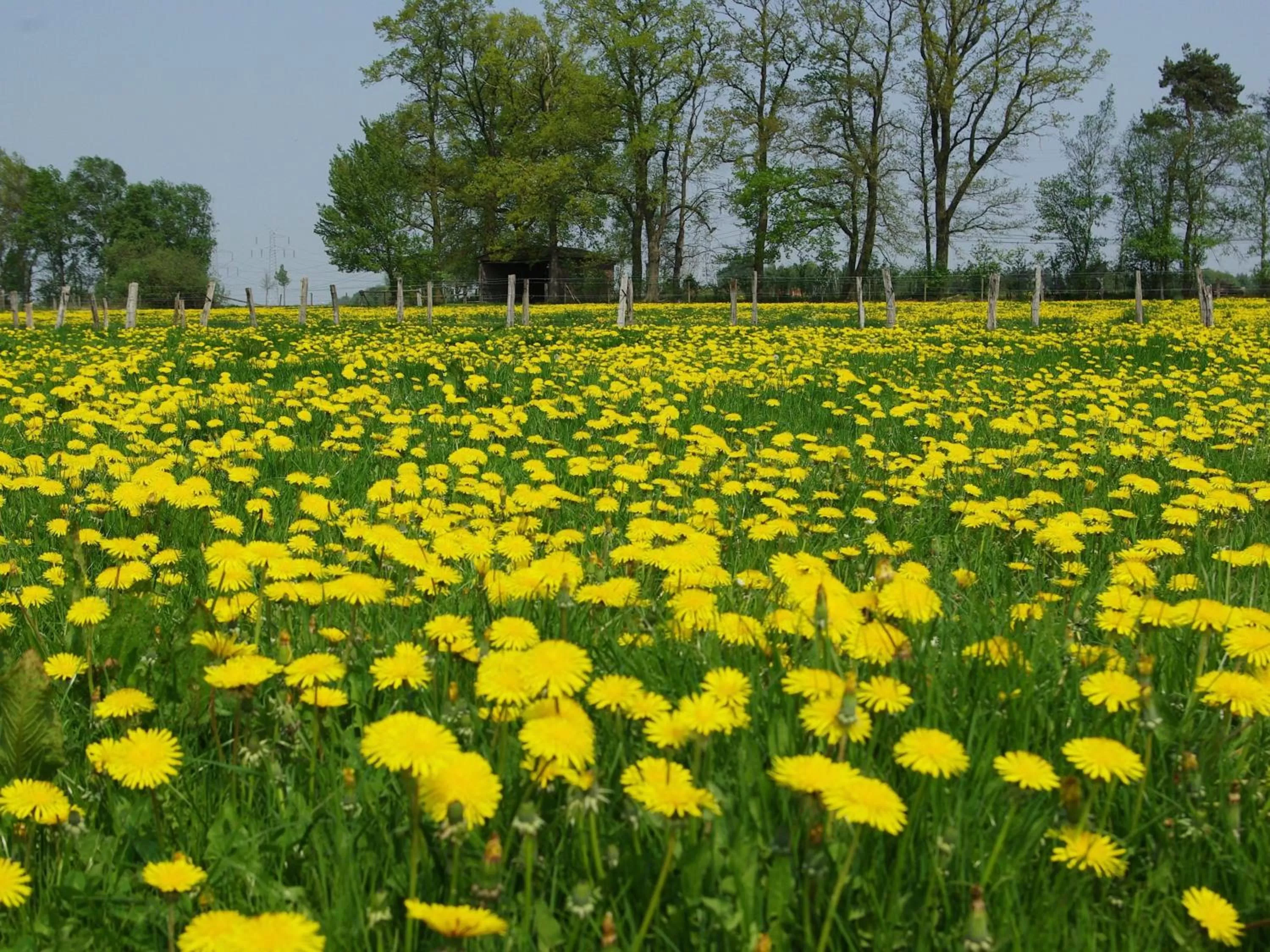 Staff in Hotel Paulsen