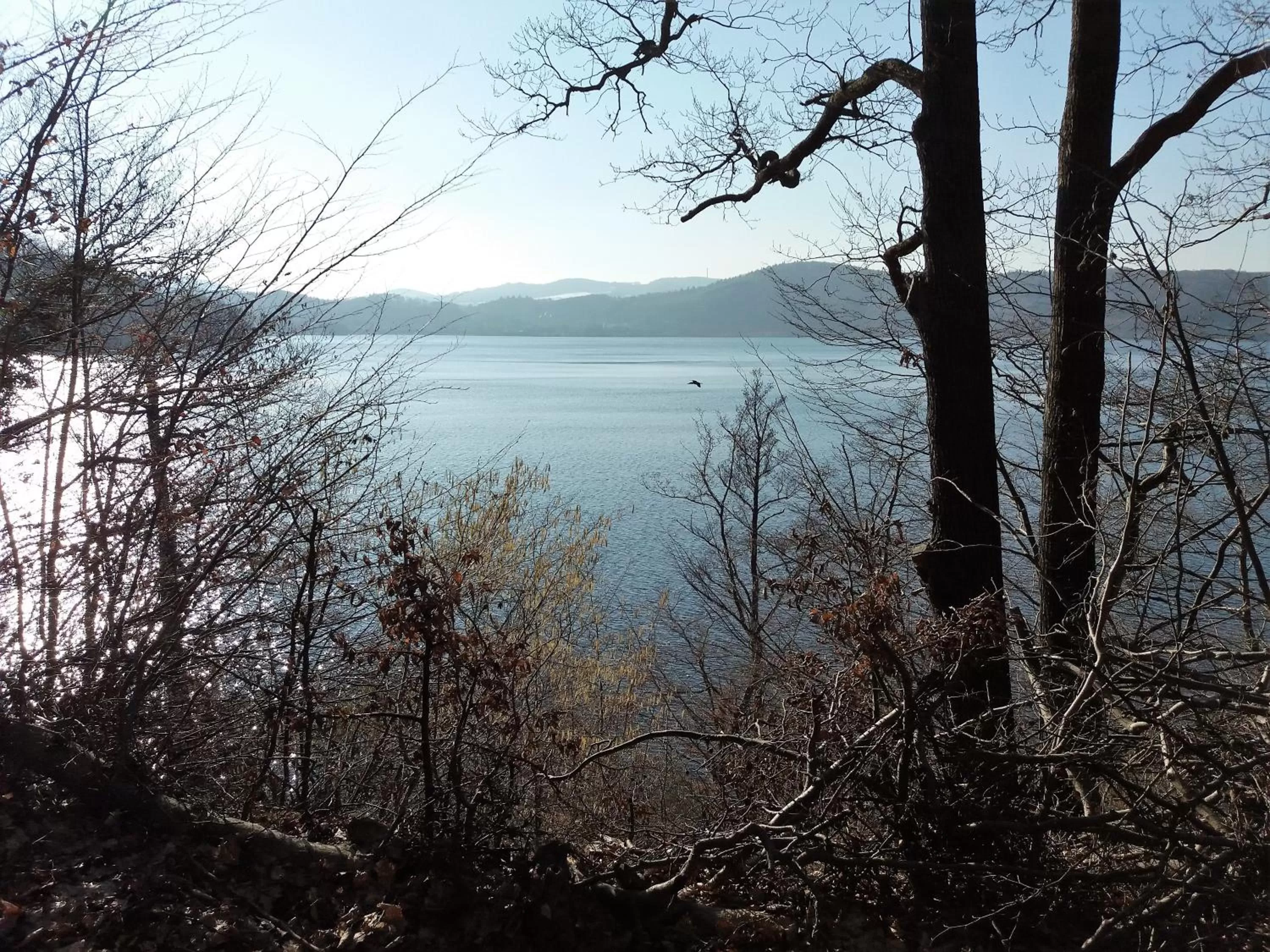 Winter in Gästehaus Am Hochsimmer