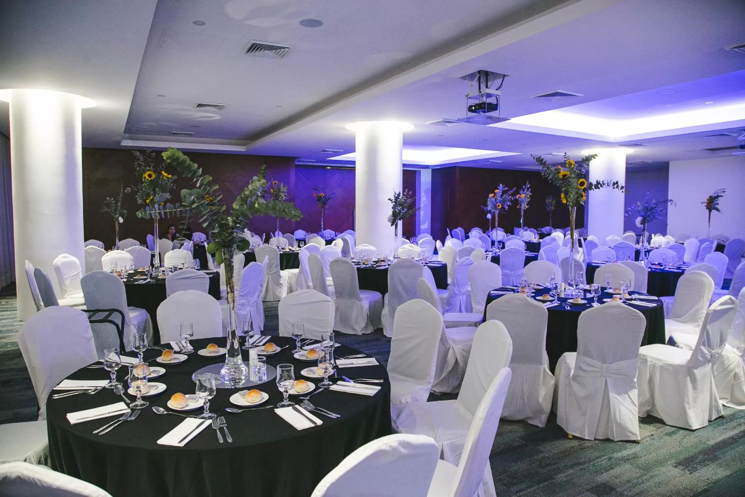 Banquet/Function facilities in Hotel Antofagasta