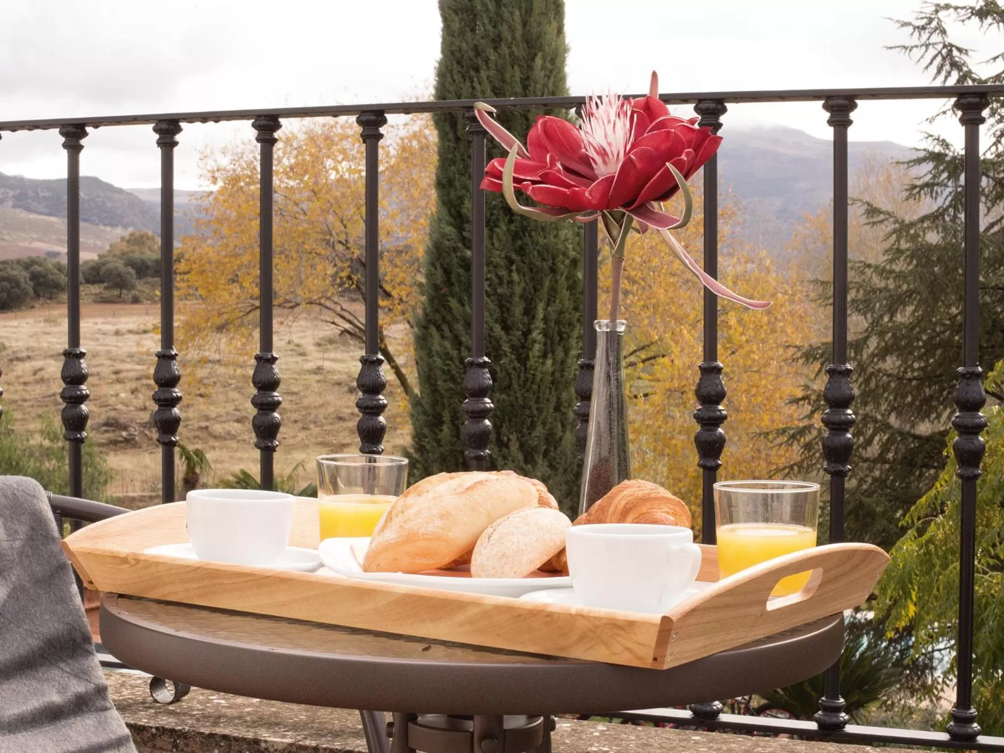 Balcony/Terrace in Hotel Bodega El Juncal