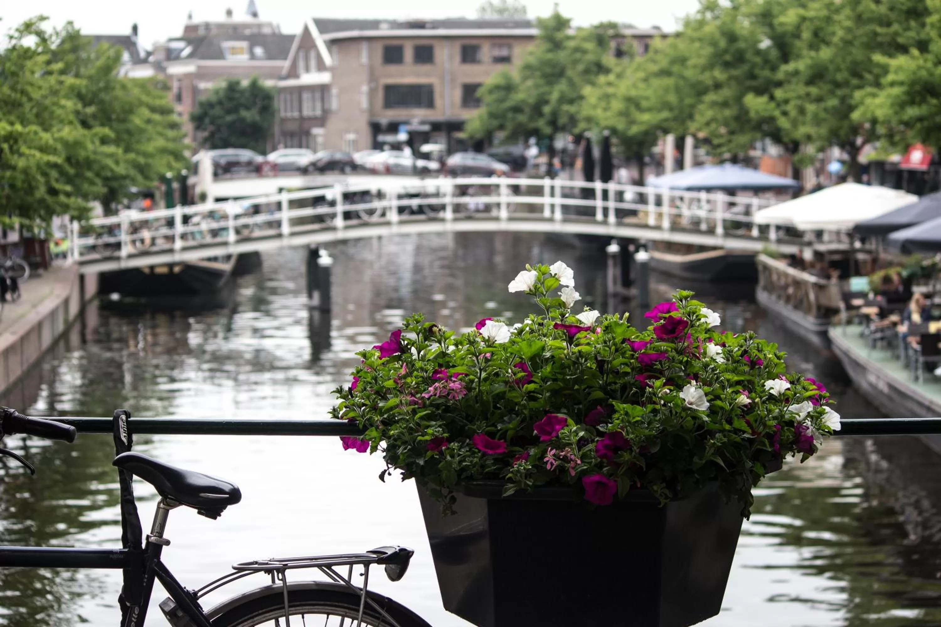 Property building in NR22 Leiden