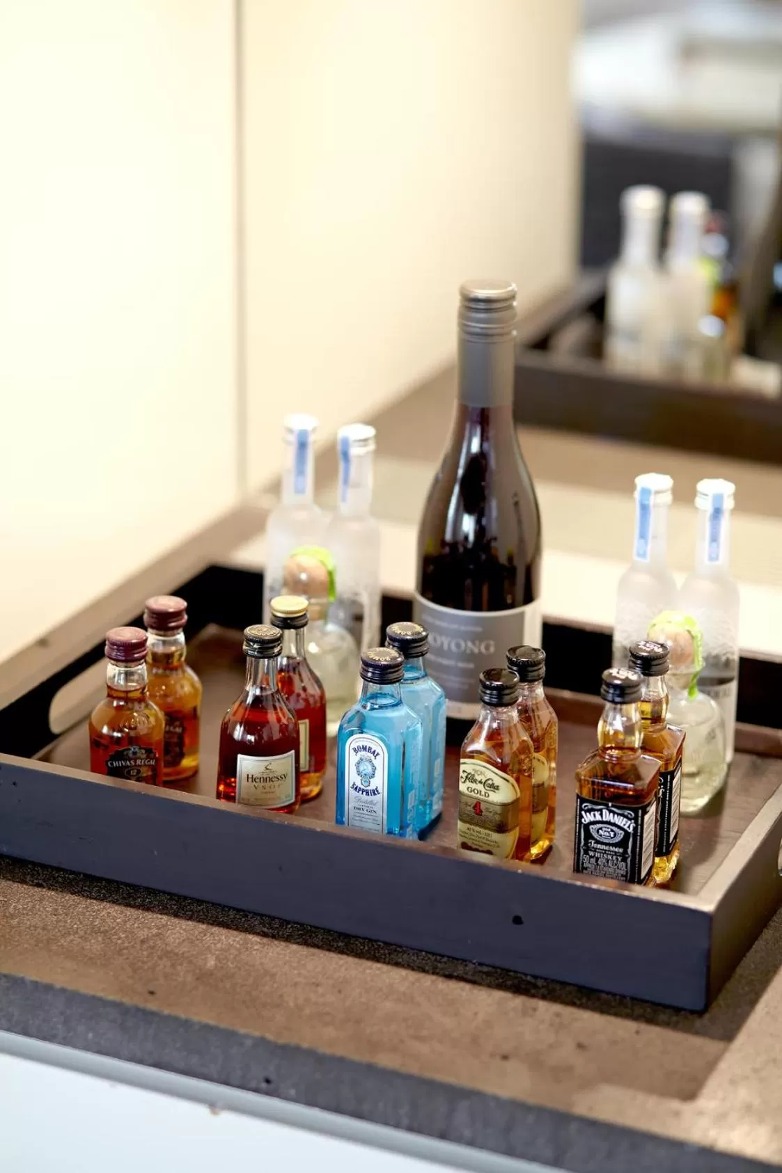 Alcoholic drinks in Establishment Hotel