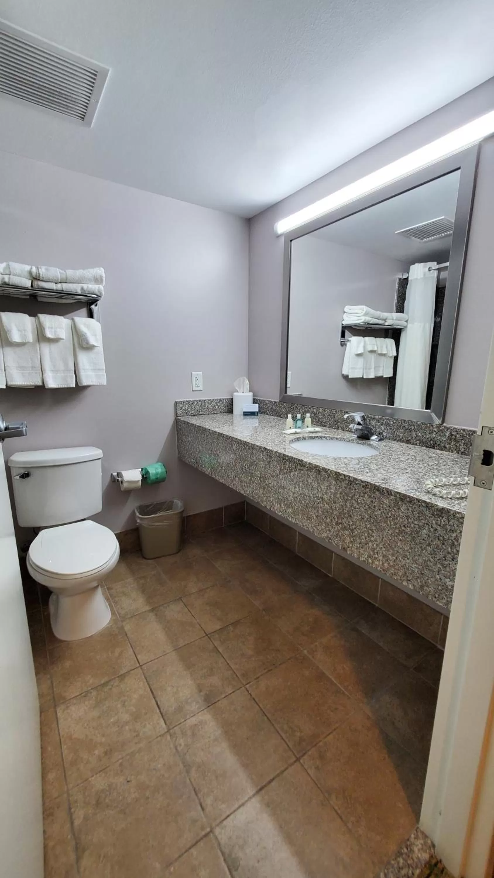 Bathroom in Quality Inn & Suites Tampa near Fairgrounds and Casino