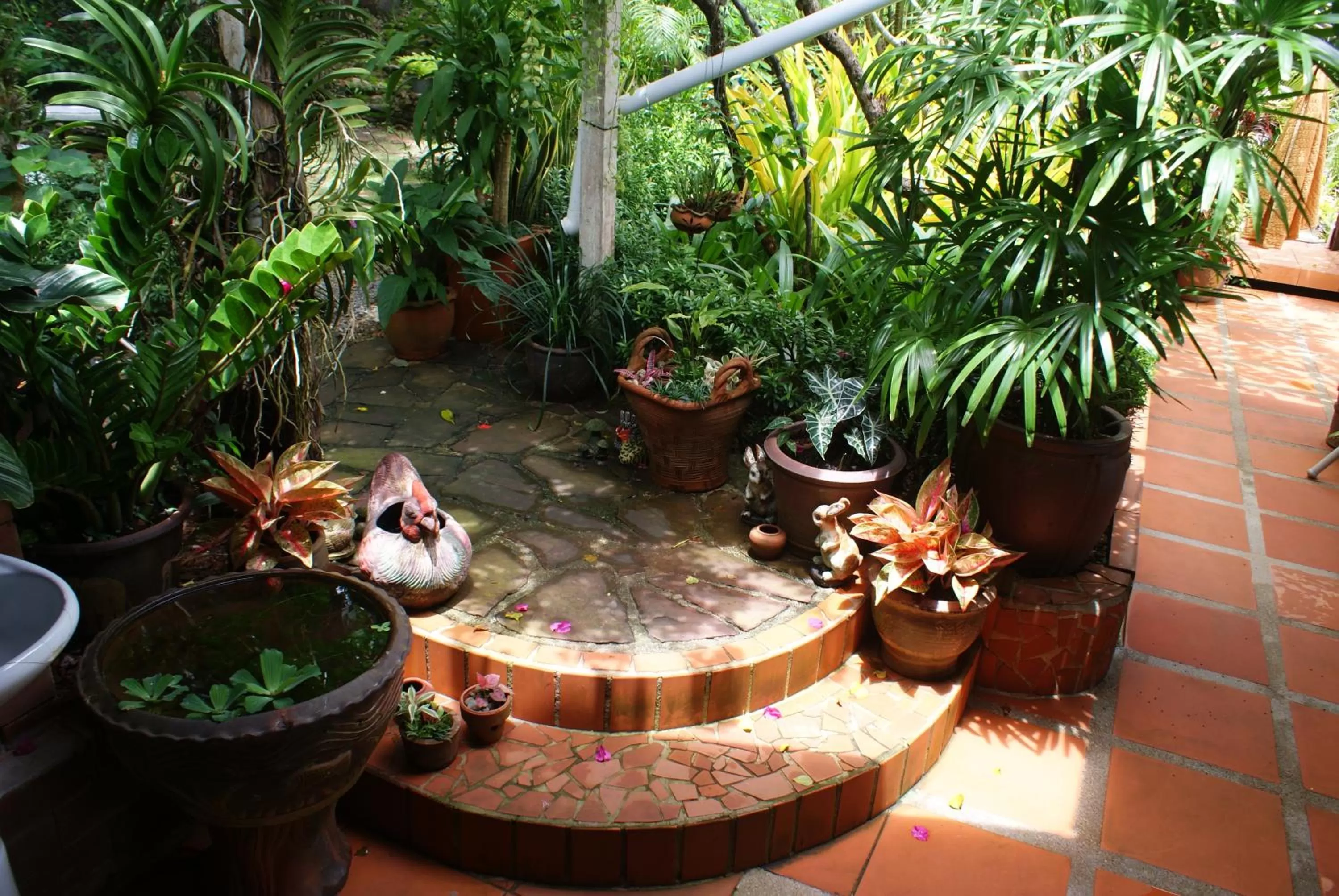 Garden in Rock Inn Bailan