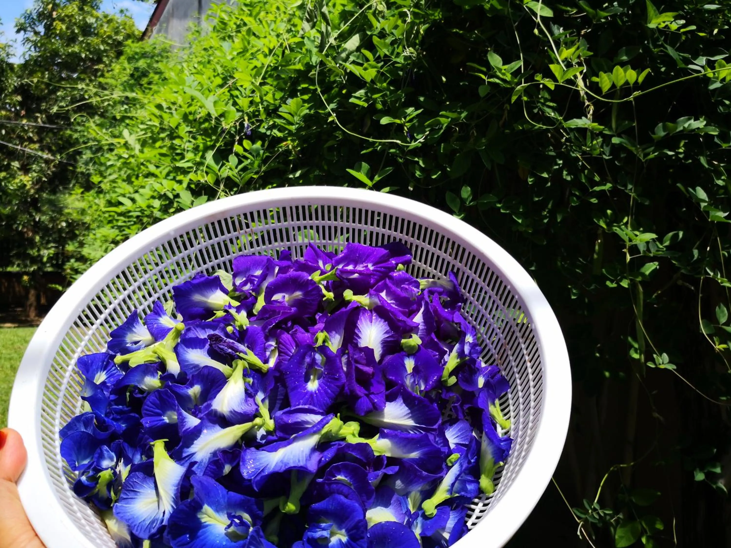 Baan Suan Rim Klong Resort