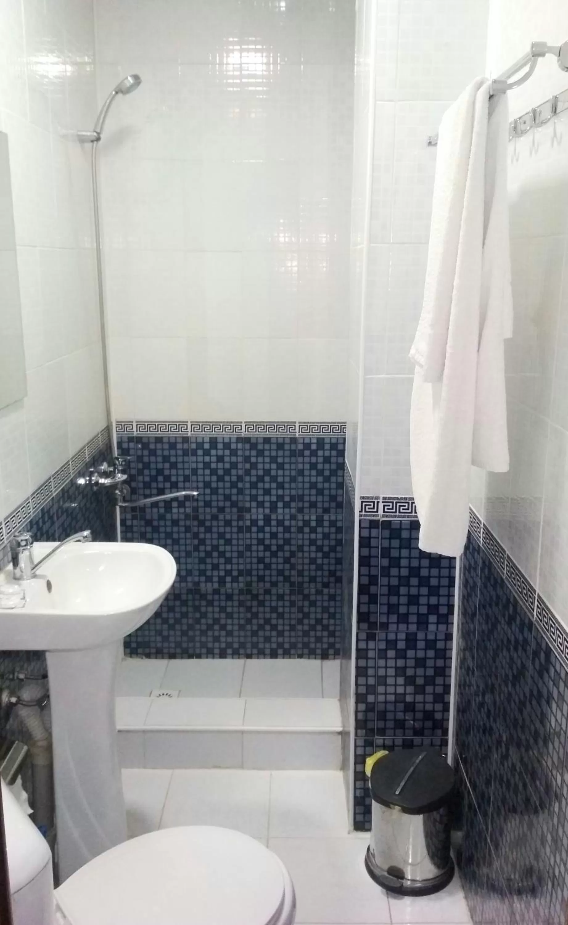 Toilet, Bathroom in Hotel Nurafshon Boutique