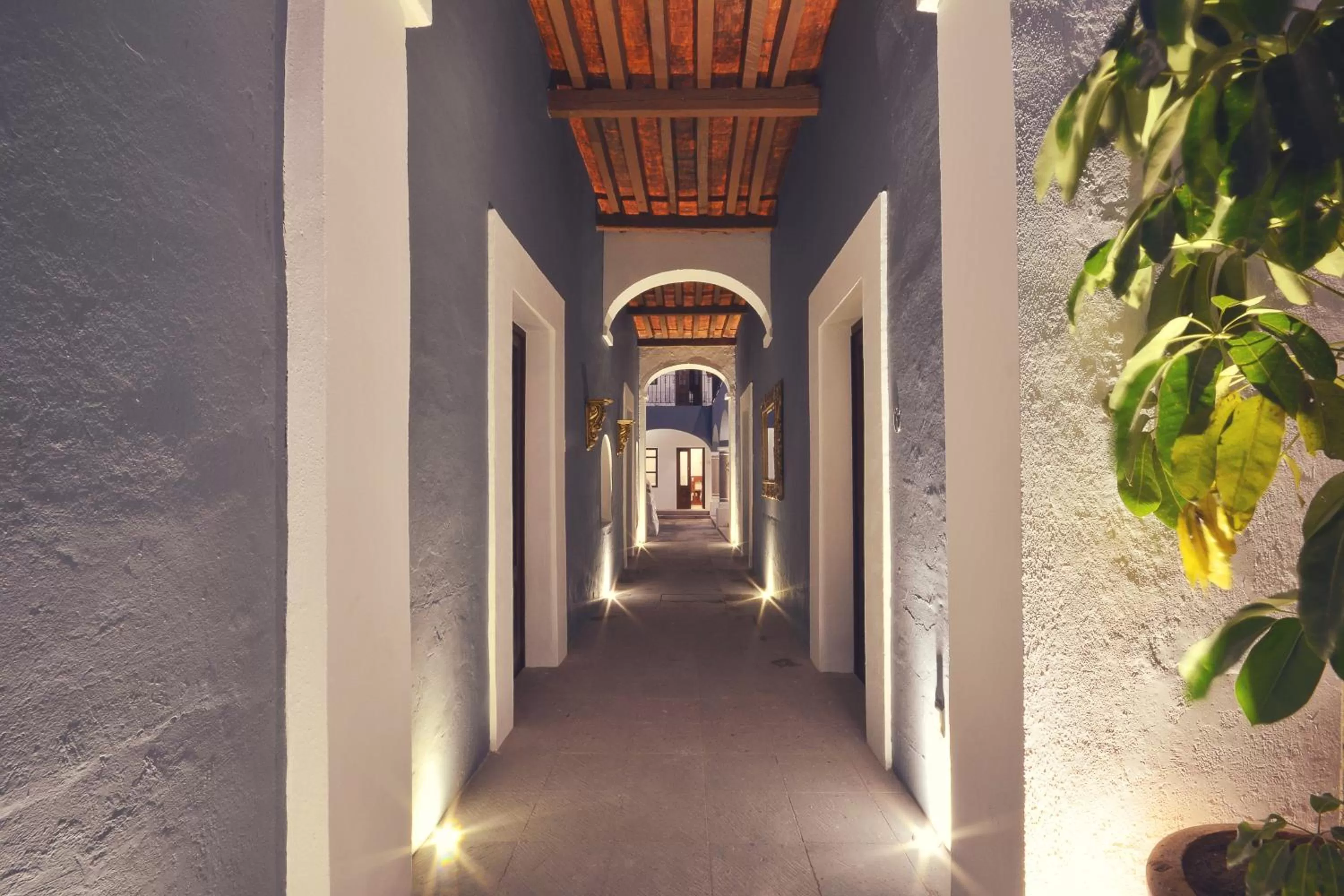 Patio in Hotel Boutique Casa Altamira