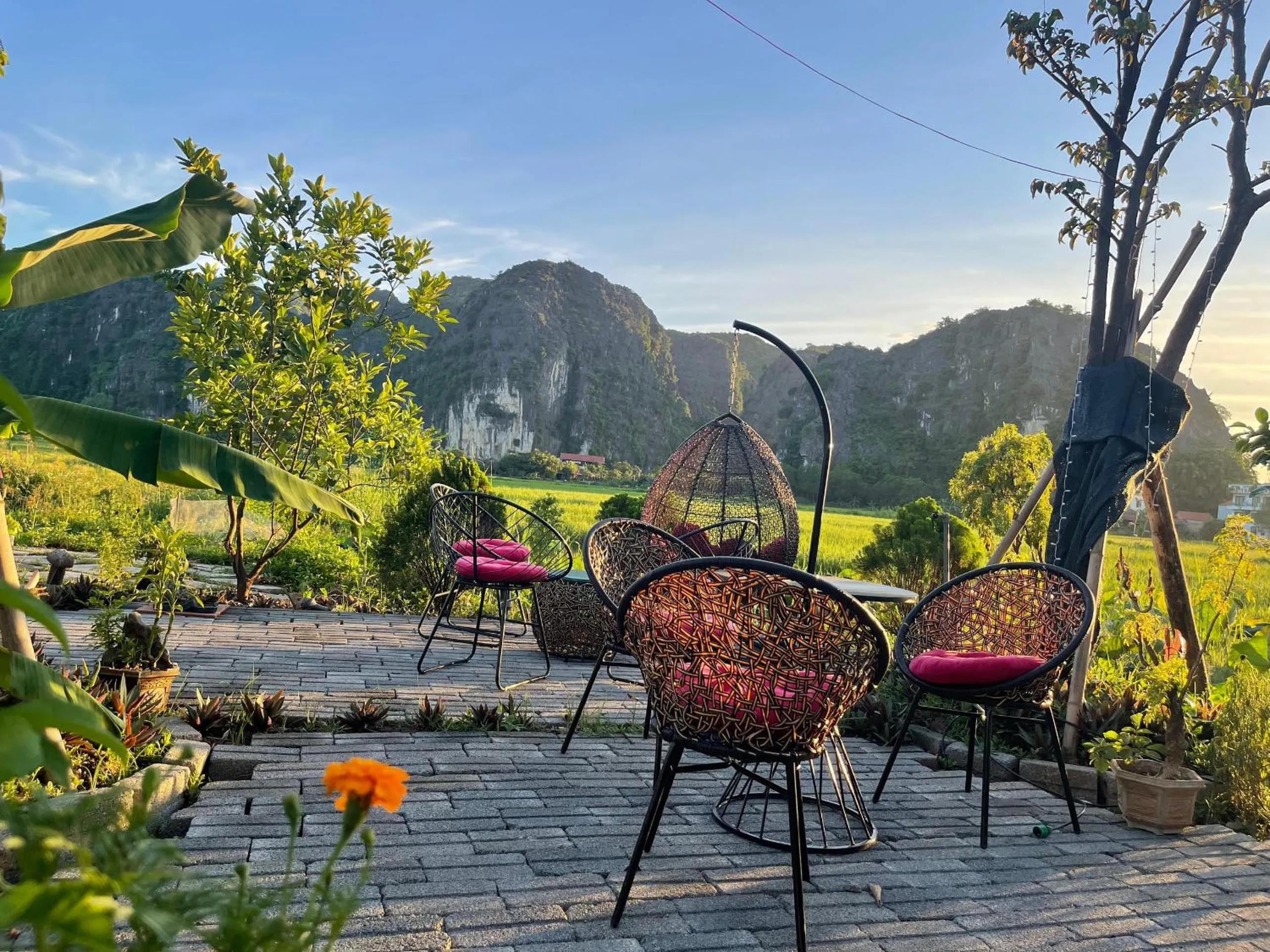 Tam Coc Mountain View Homestay