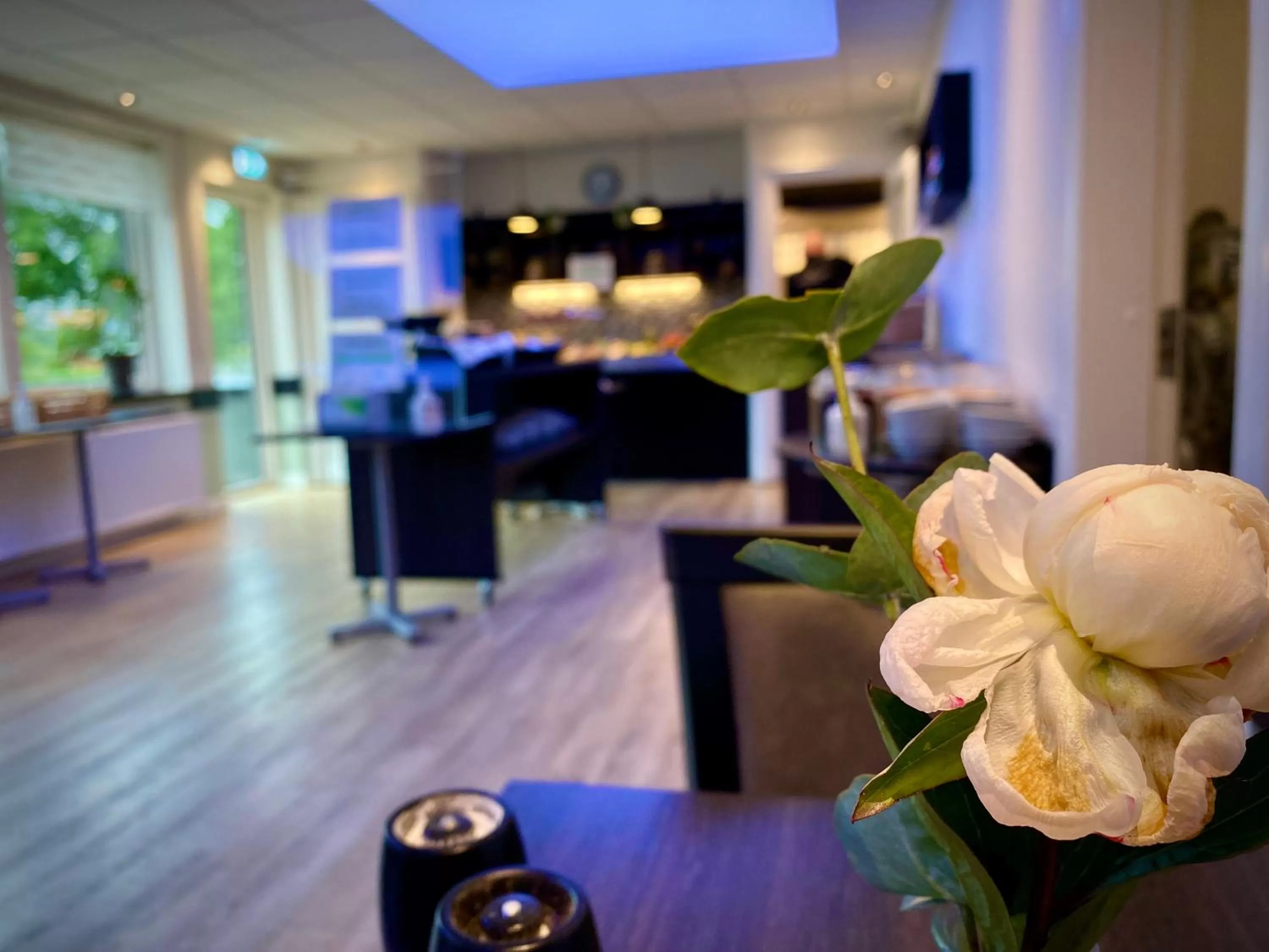 Breakfast in Taastrup Park Hotel