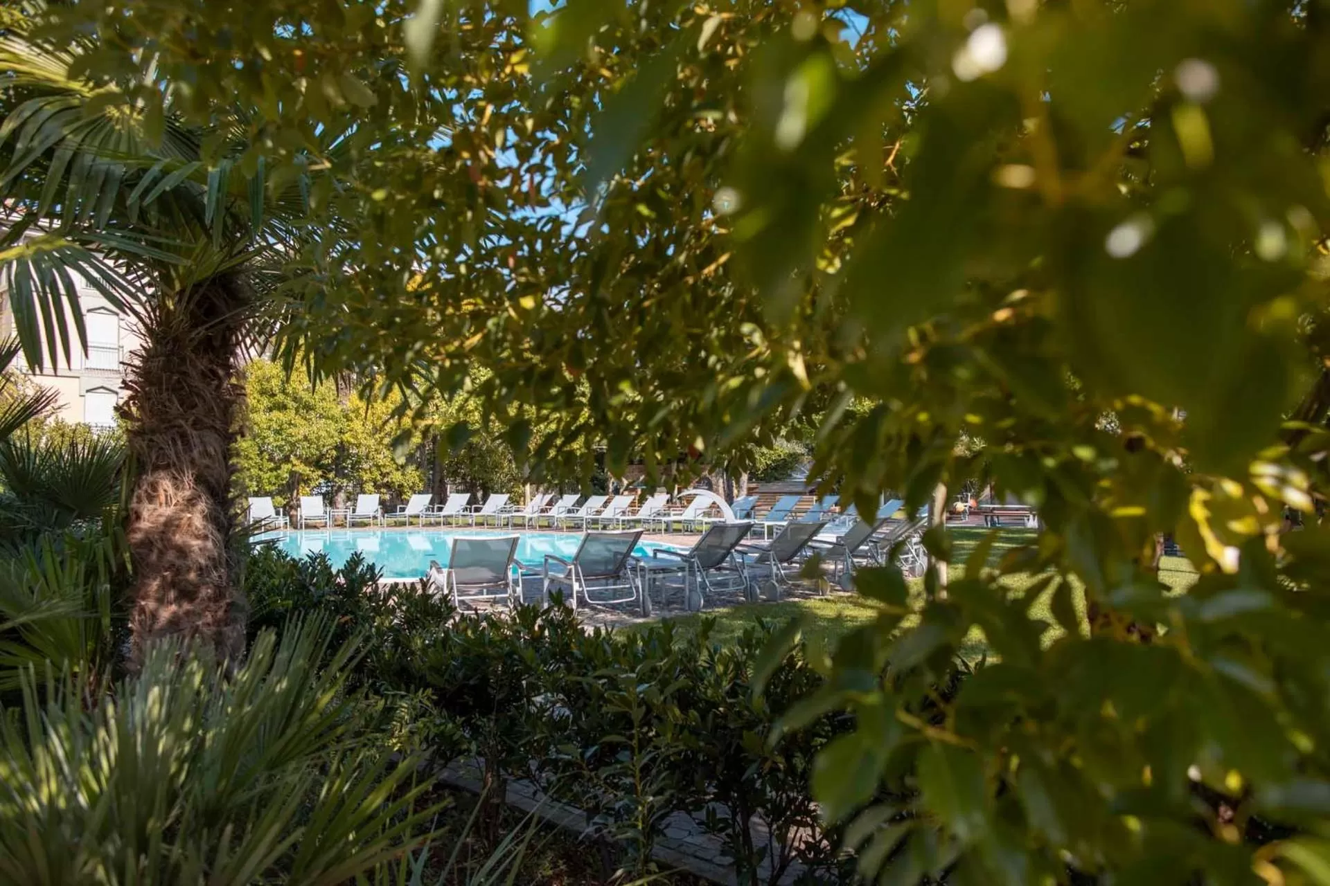 Garden in 4 Limoni Apartment Resort