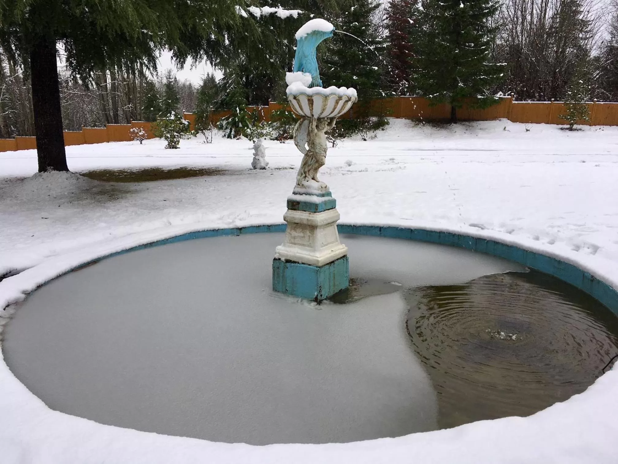 Garden in Fuller Lake Chemainus Motel