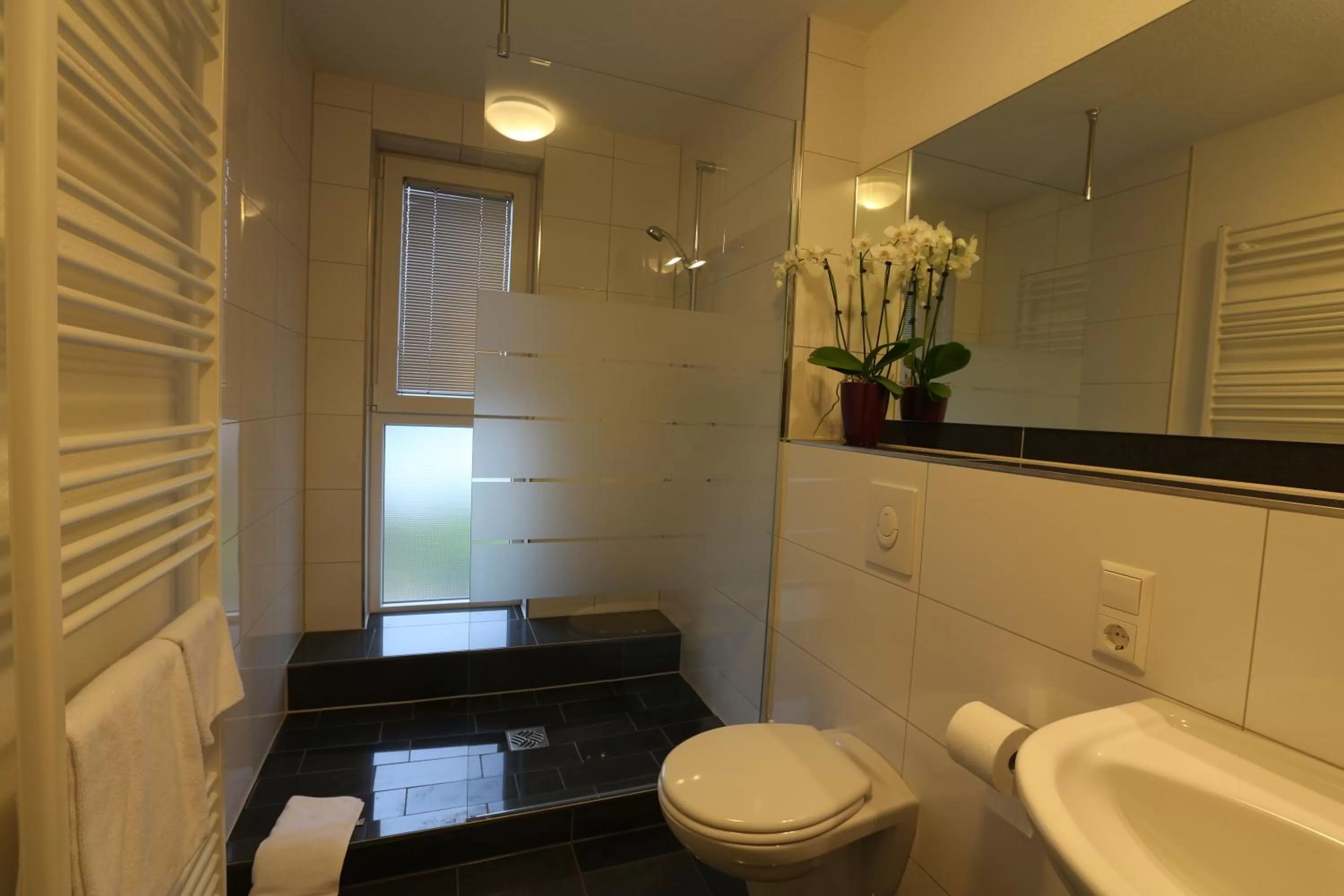 Bathroom in Parkhotel Stadthagen